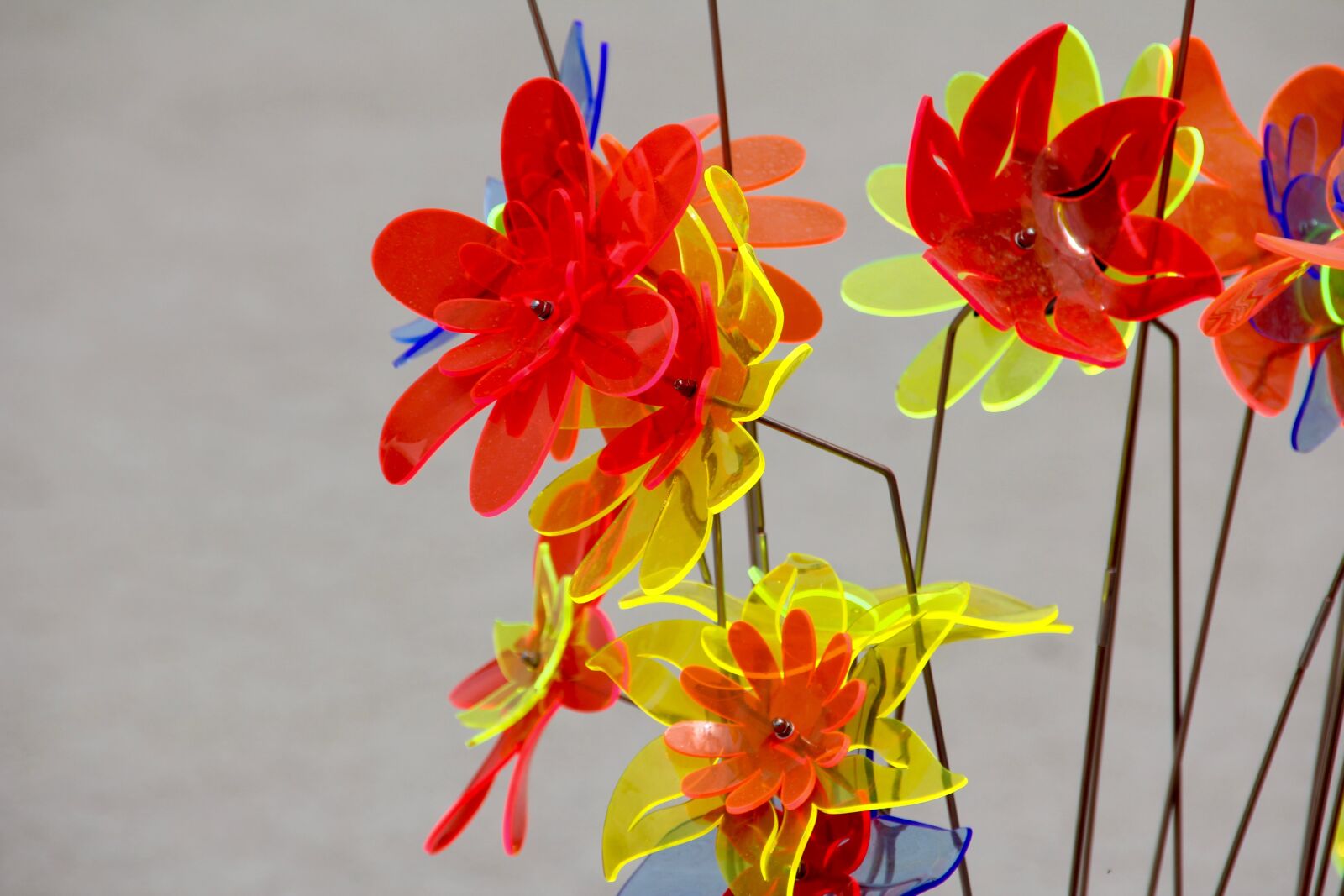 Canon EOS 60D sample photo. Decoration, flowers, gartendeko photography