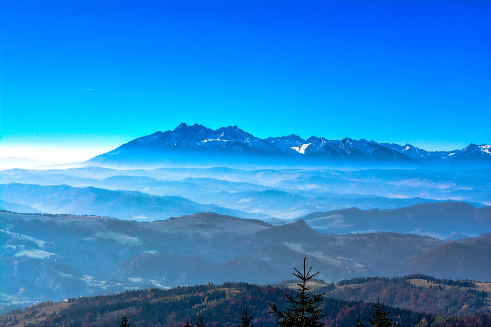 Nikon D7100 sample photo. The top of the photography