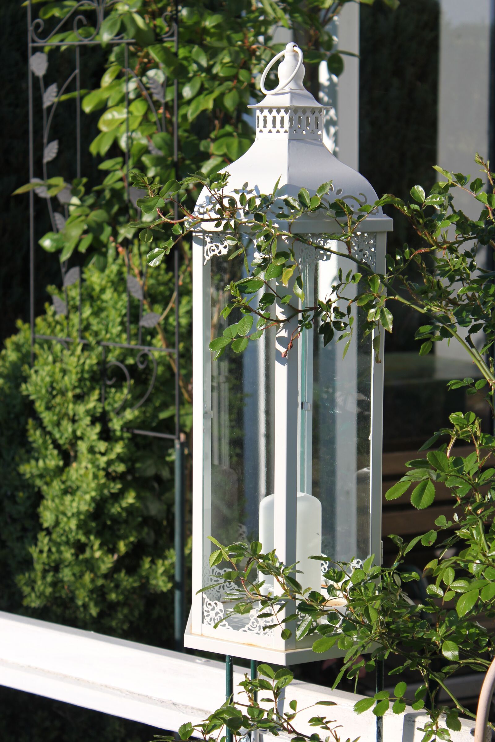 Canon EOS 550D (EOS Rebel T2i / EOS Kiss X4) sample photo. Lantern, romance, romantic photography