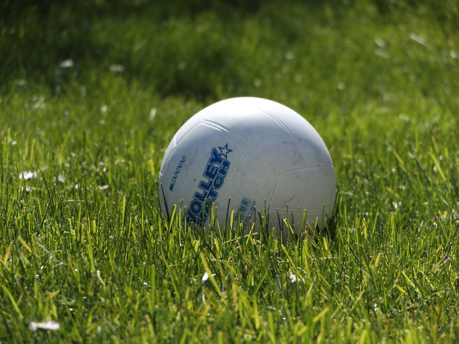 Fujifilm FinePix S8600 sample photo. Ball, round, grass photography