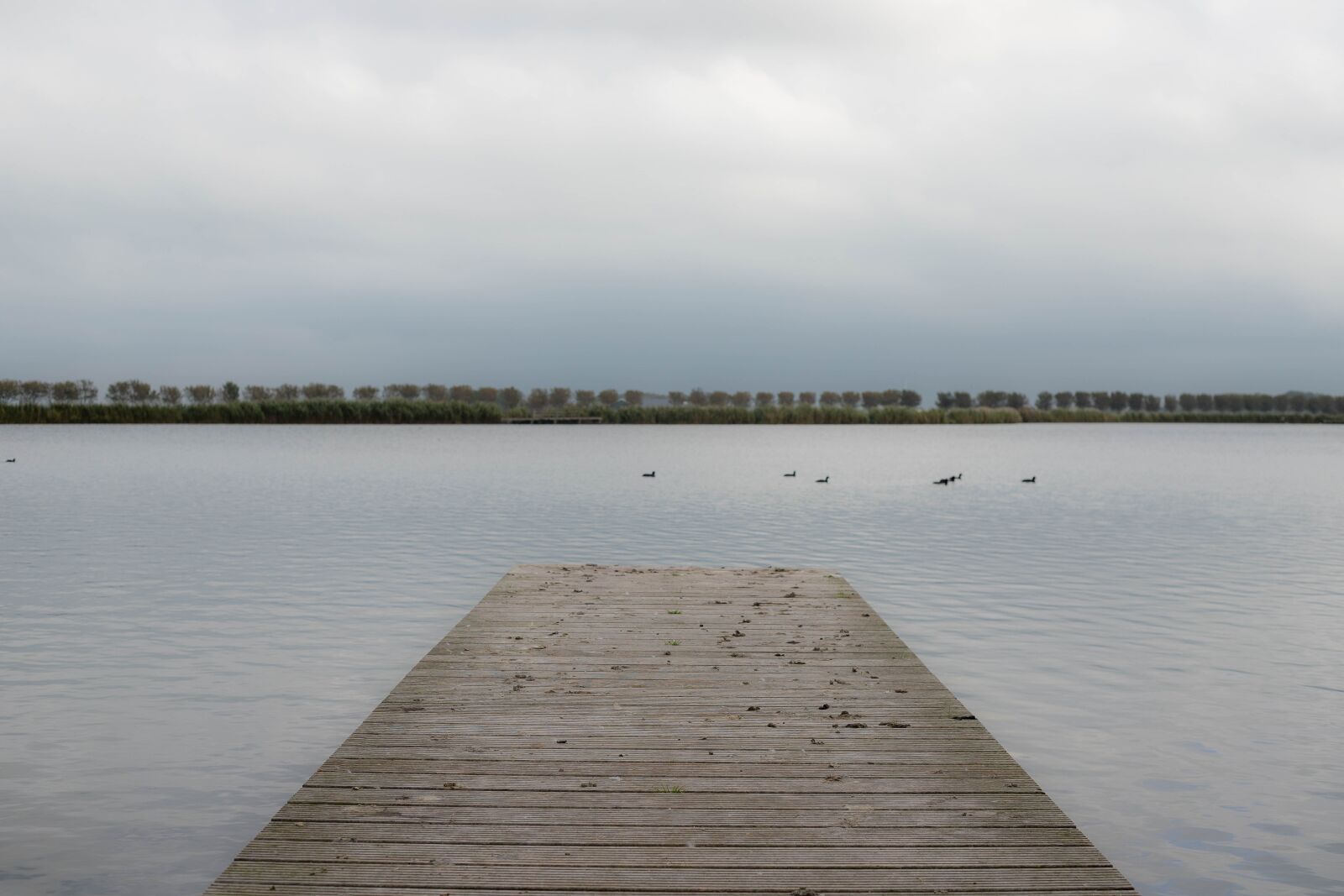Canon EOS 6D Mark II sample photo. More, deck, view photography