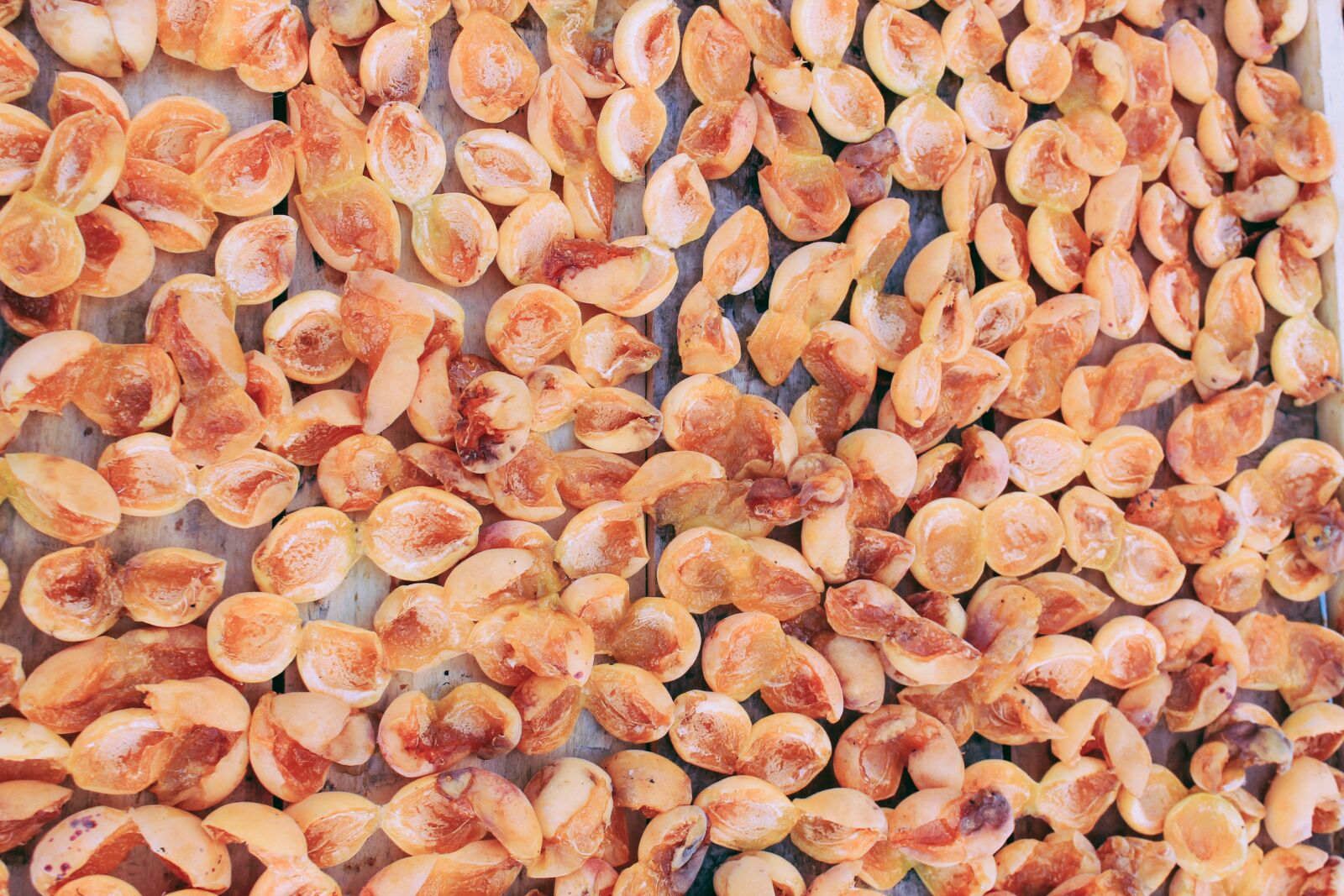 Canon EOS 1100D (EOS Rebel T3 / EOS Kiss X50) sample photo. Dried, apricots, apricot photography