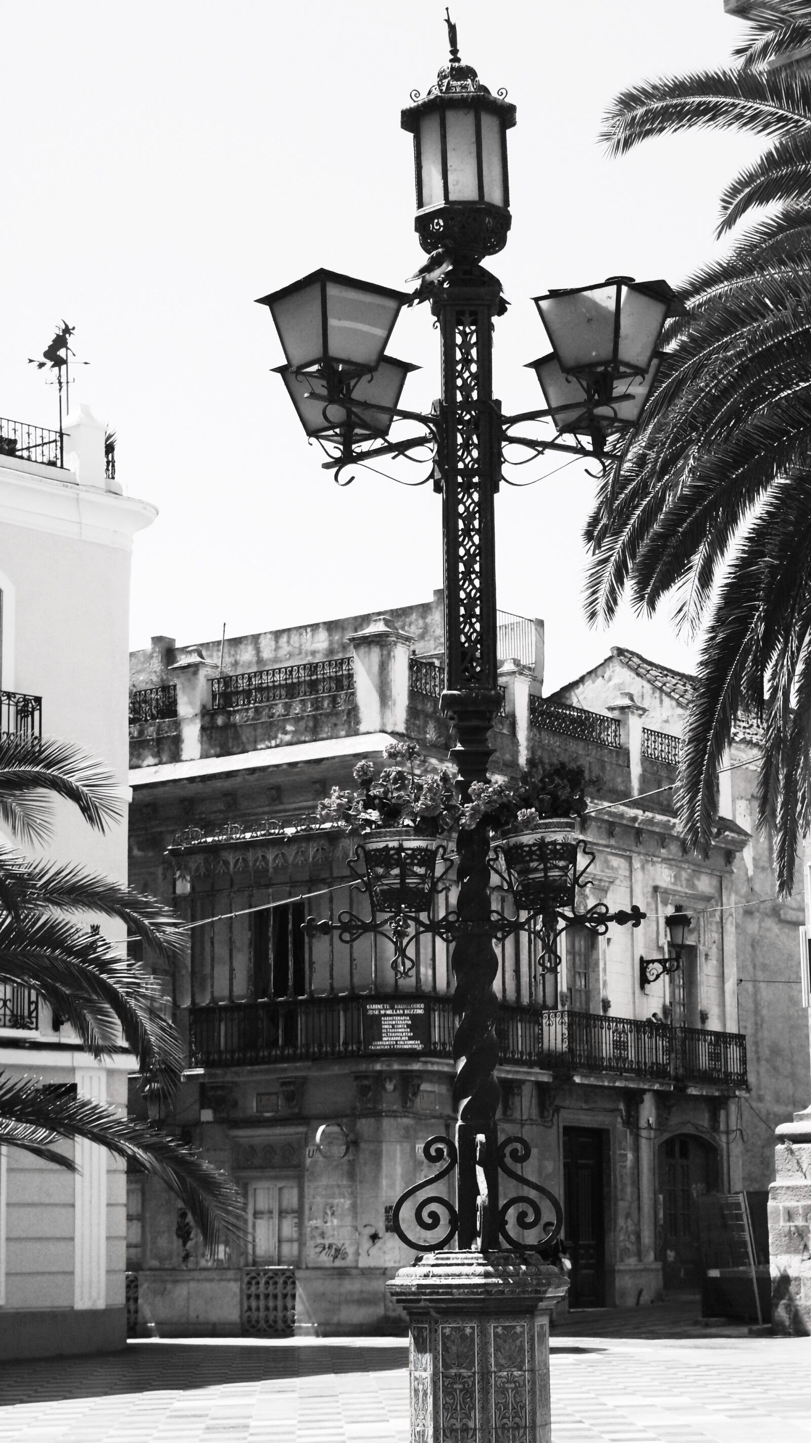 Sony Alpha DSLR-A100 sample photo. Algeciras, plaza alta, x-ray photography