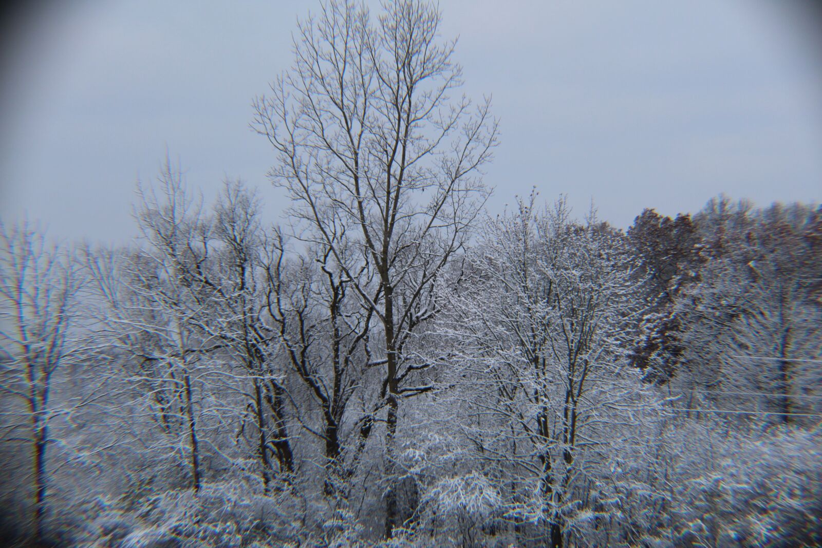 Canon EOS 1300D (EOS Rebel T6 / EOS Kiss X80) sample photo. Michigan winter, white, snow photography