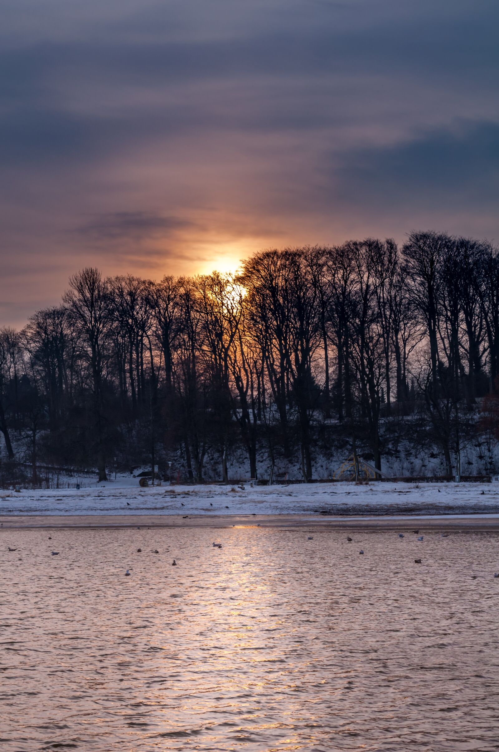 Nikon D90 sample photo. Baltic sea, coast, nature photography