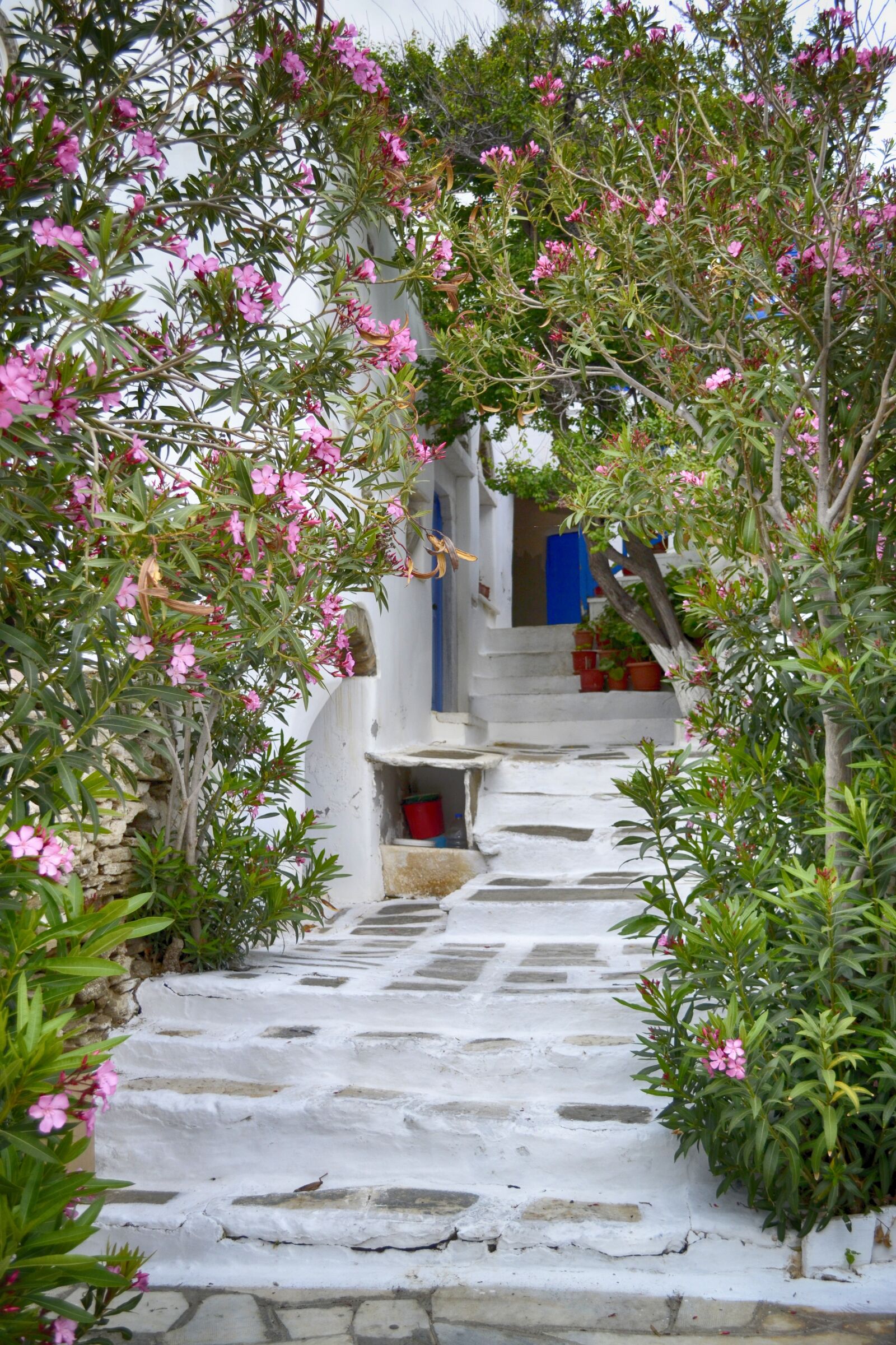 Nikon D3100 sample photo. Greece, island, door photography