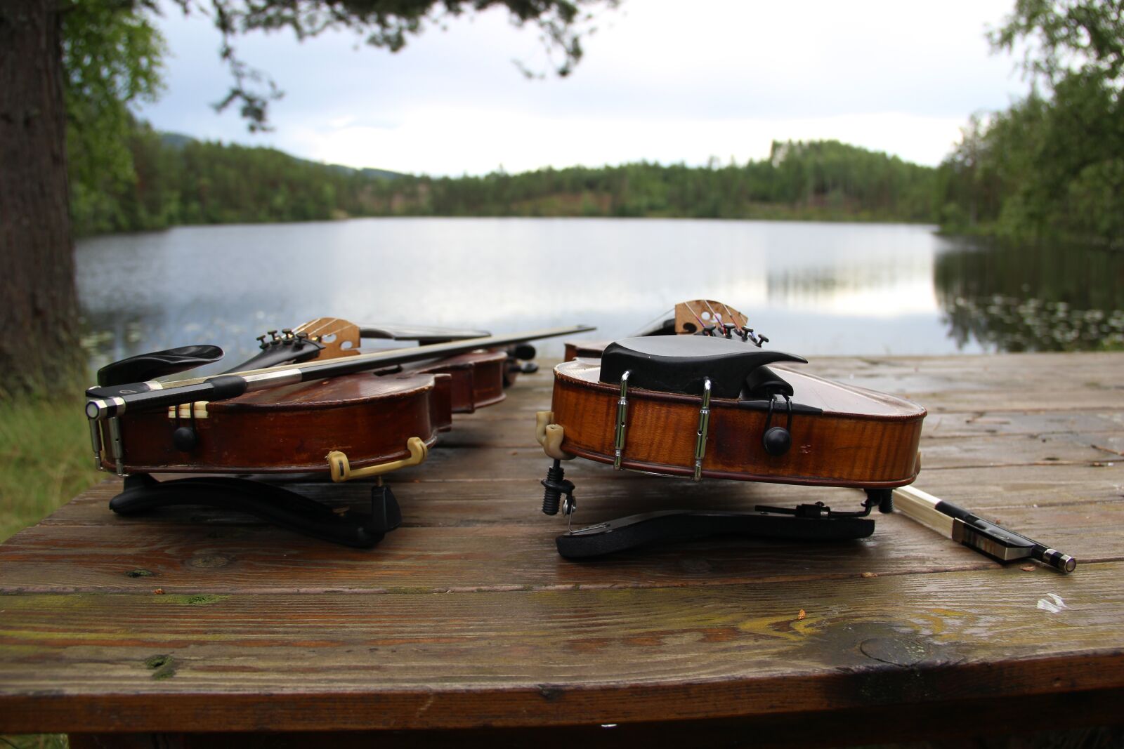 Canon EF-S 18-135mm F3.5-5.6 IS sample photo. Violins, nature, water photography