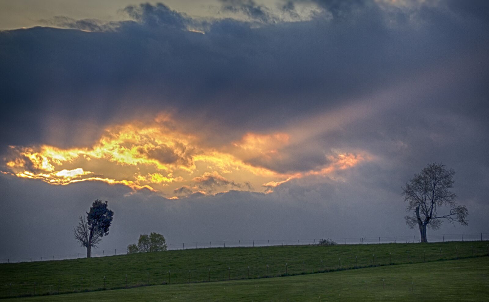 Canon EOS 550D (EOS Rebel T2i / EOS Kiss X4) sample photo. Sunset, trees, nature photography