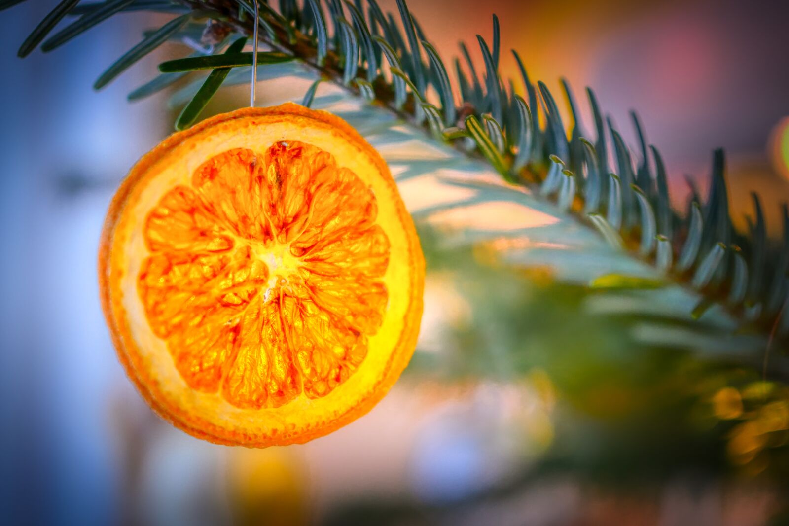 Panasonic Lumix DMC-GX8 sample photo. Christmas decorations, orange, orange photography
