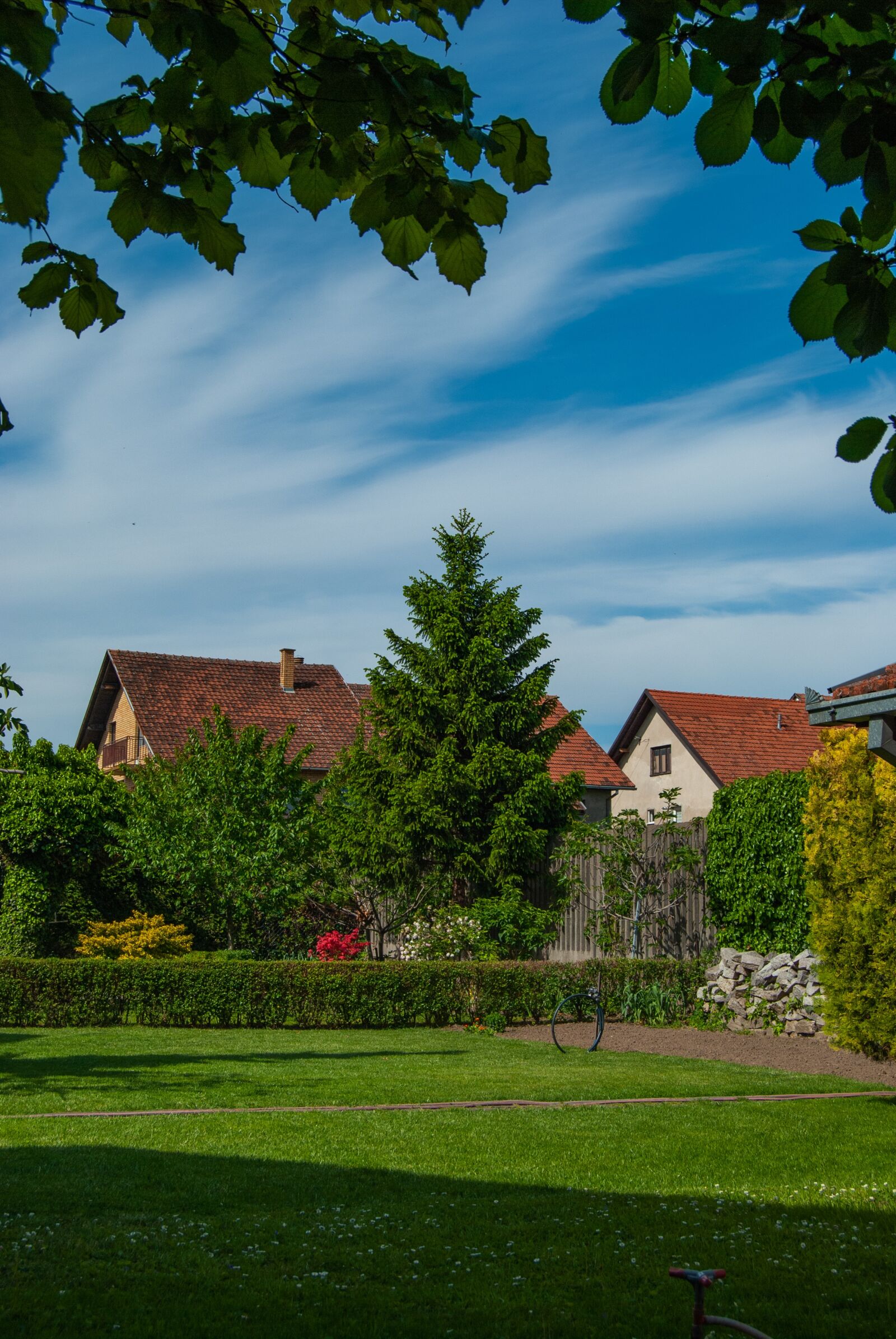 Nikon D60 sample photo. Yard, lawn, grass photography