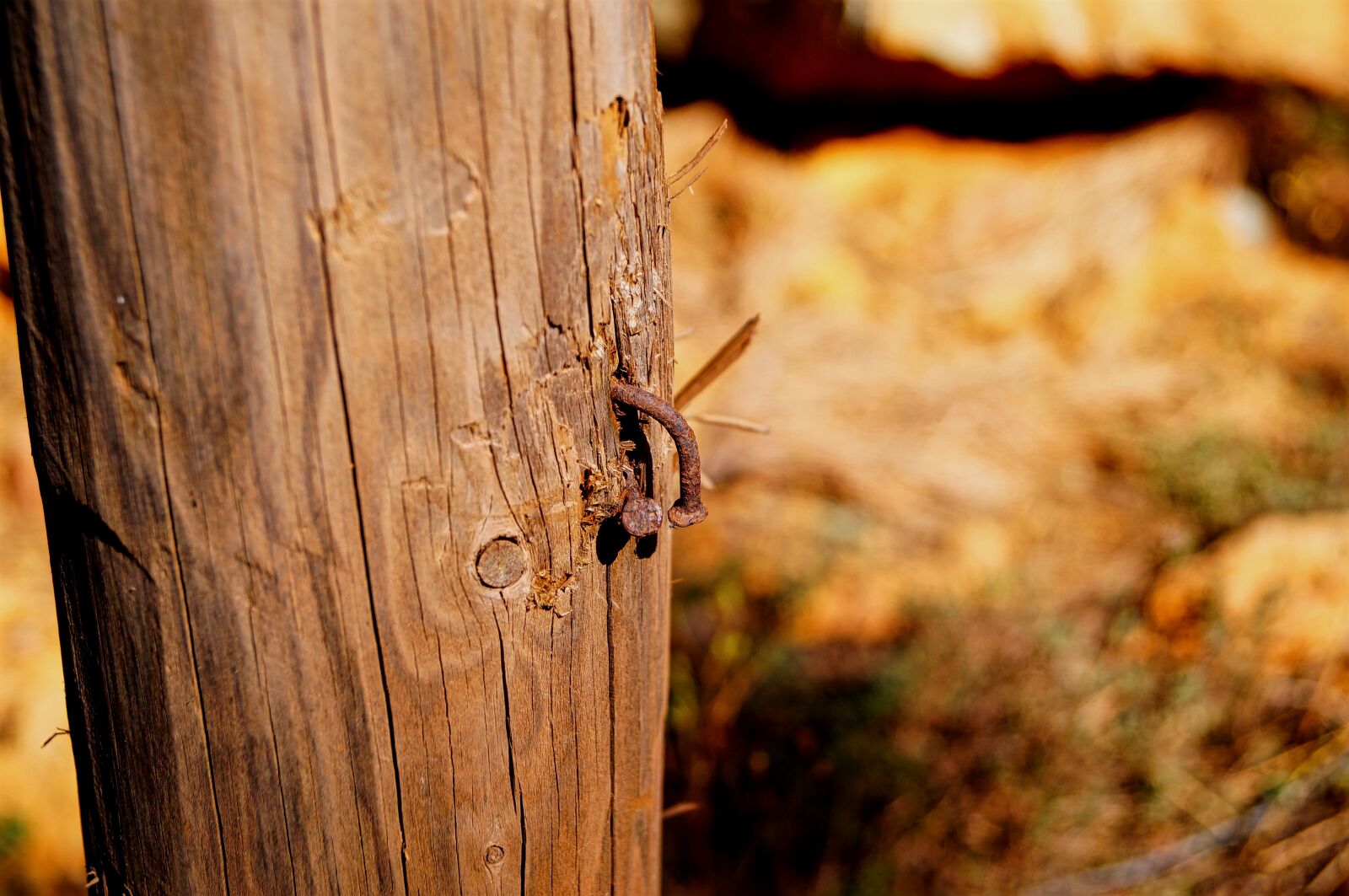 Sony SLT-A37 sample photo. Camping, nature, mount photography