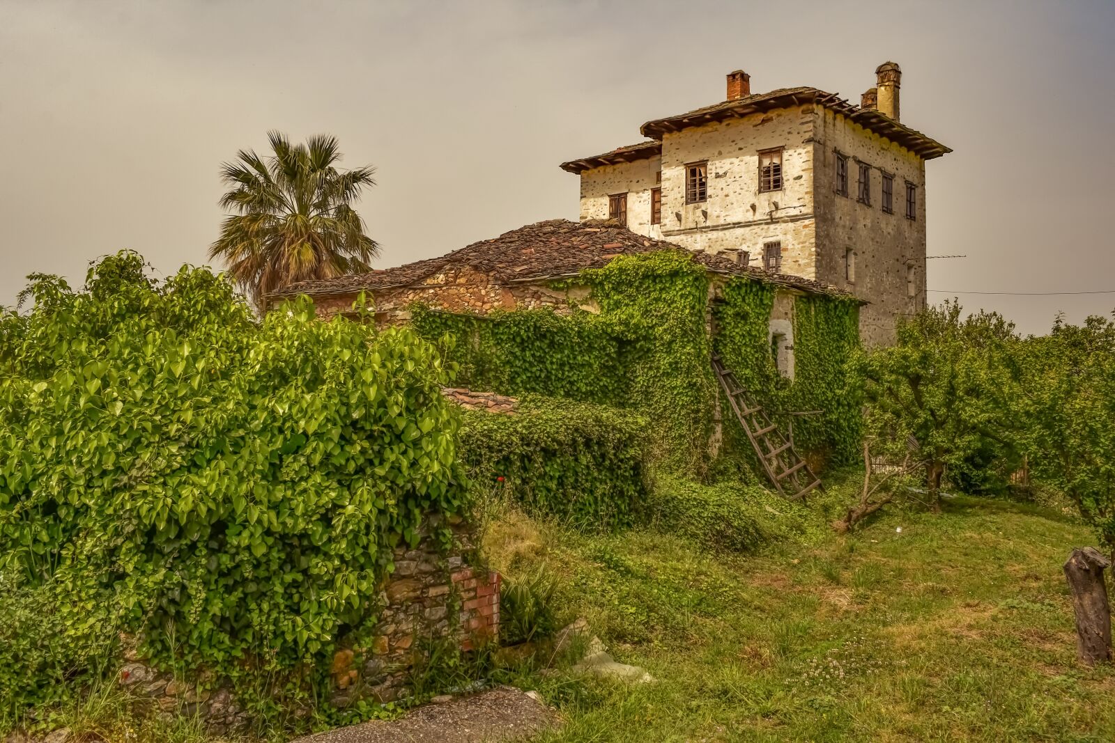 Nikon D3300 sample photo. House, tower, architecture photography