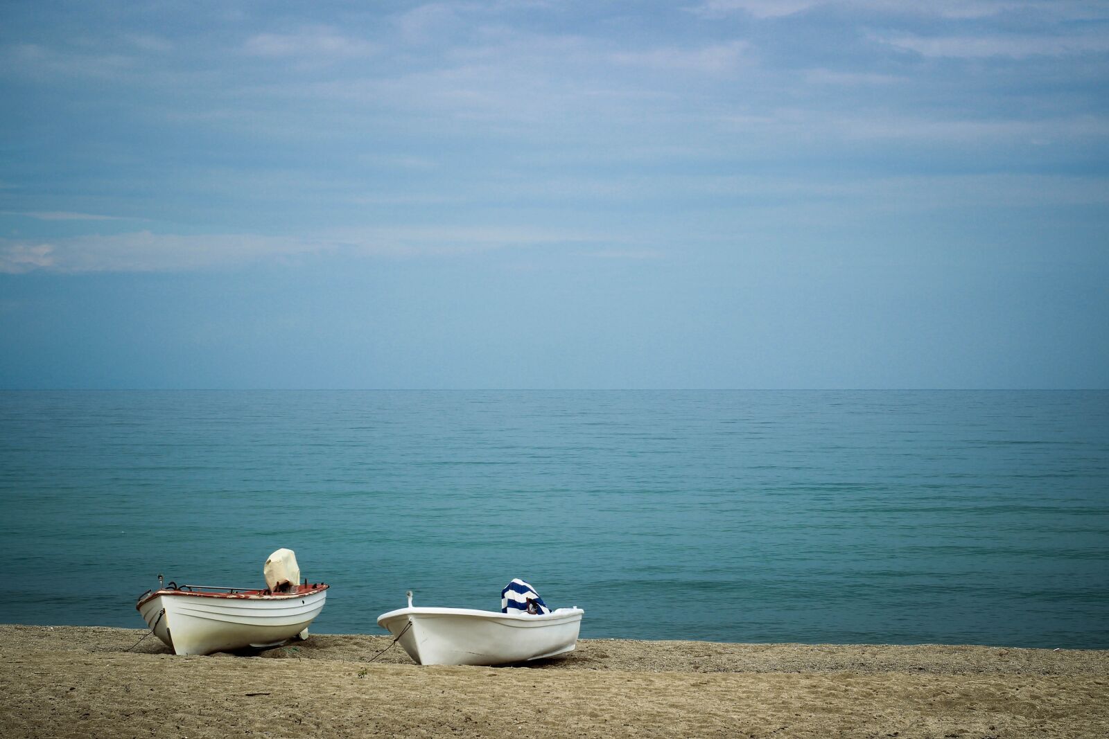 YN50mm f/1.8 II sample photo. Sea, sheep, landscape photography