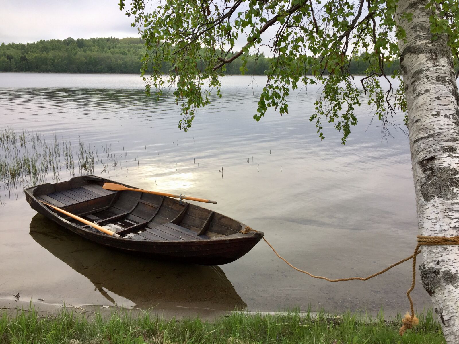 iPhone 6 back camera 4.15mm f/2.2 sample photo. Mooring, boat, water photography