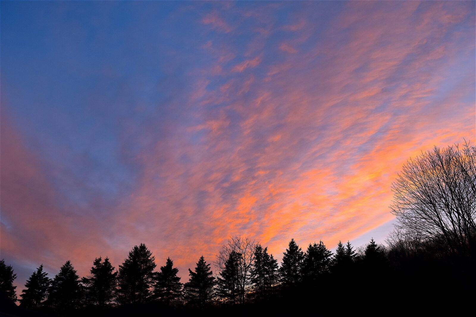 Nikon D3300 sample photo. Sunset, sky, trees photography