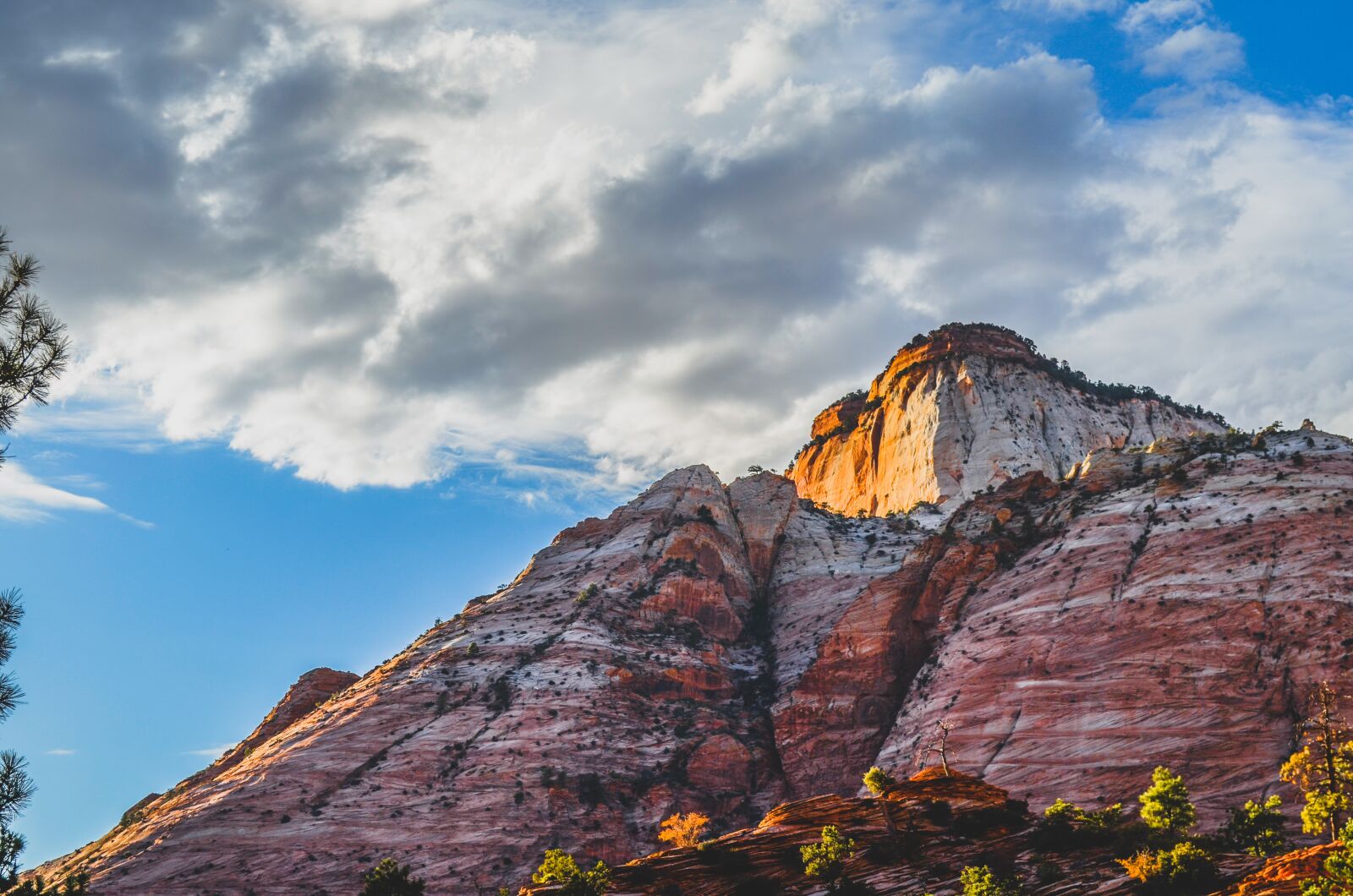 Nikon D5100 sample photo. Zion, travel, utah photography