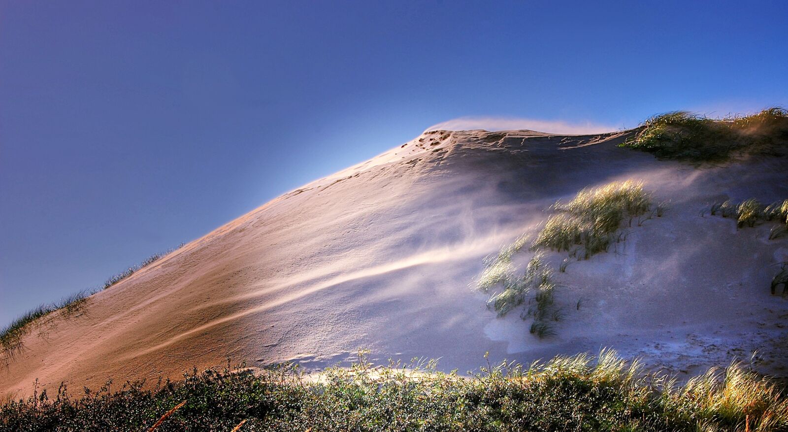 Nikon D40 sample photo. Denmark, dune, north sea photography