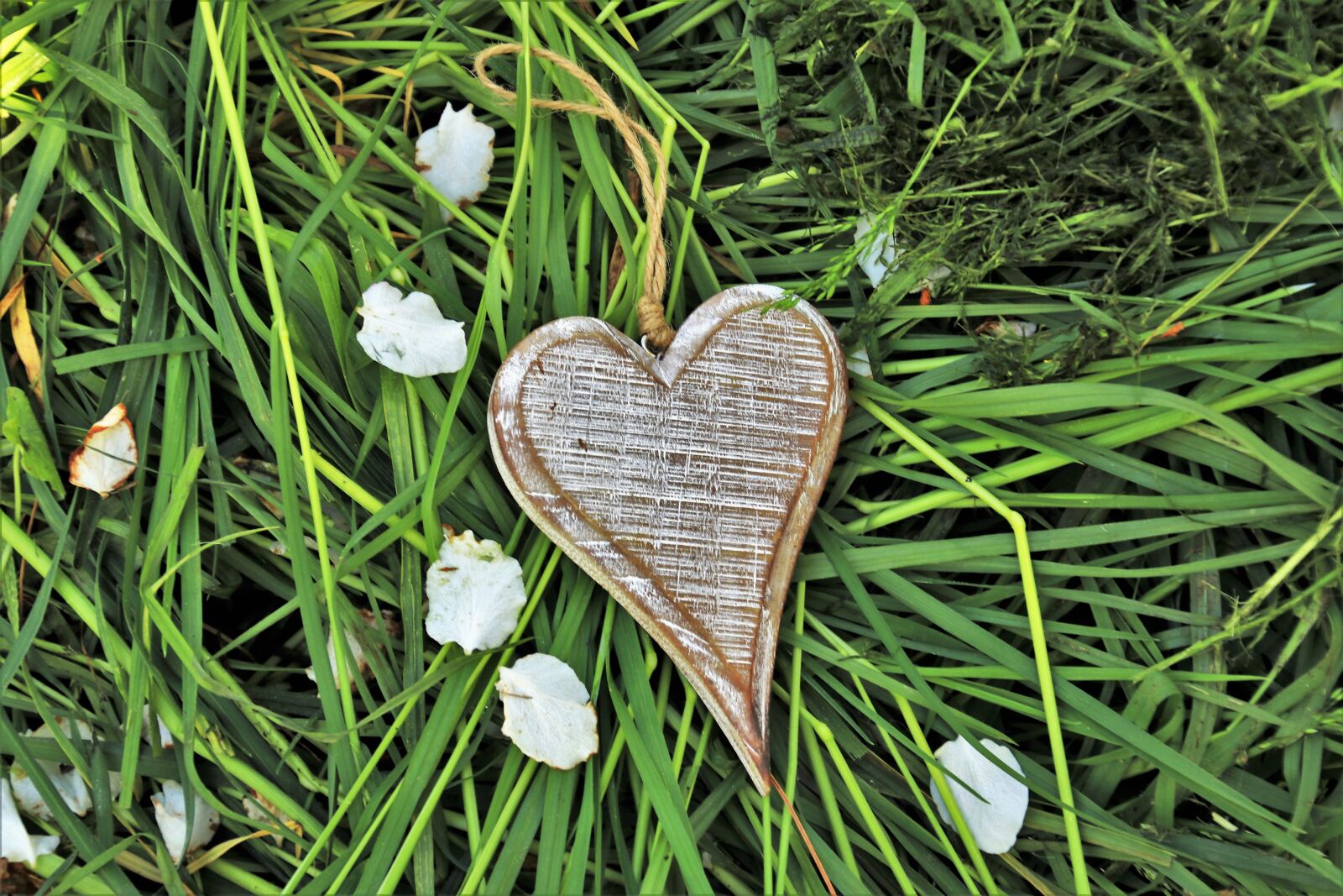 Canon EOS 80D sample photo. Wooden heart, feeling, spring photography