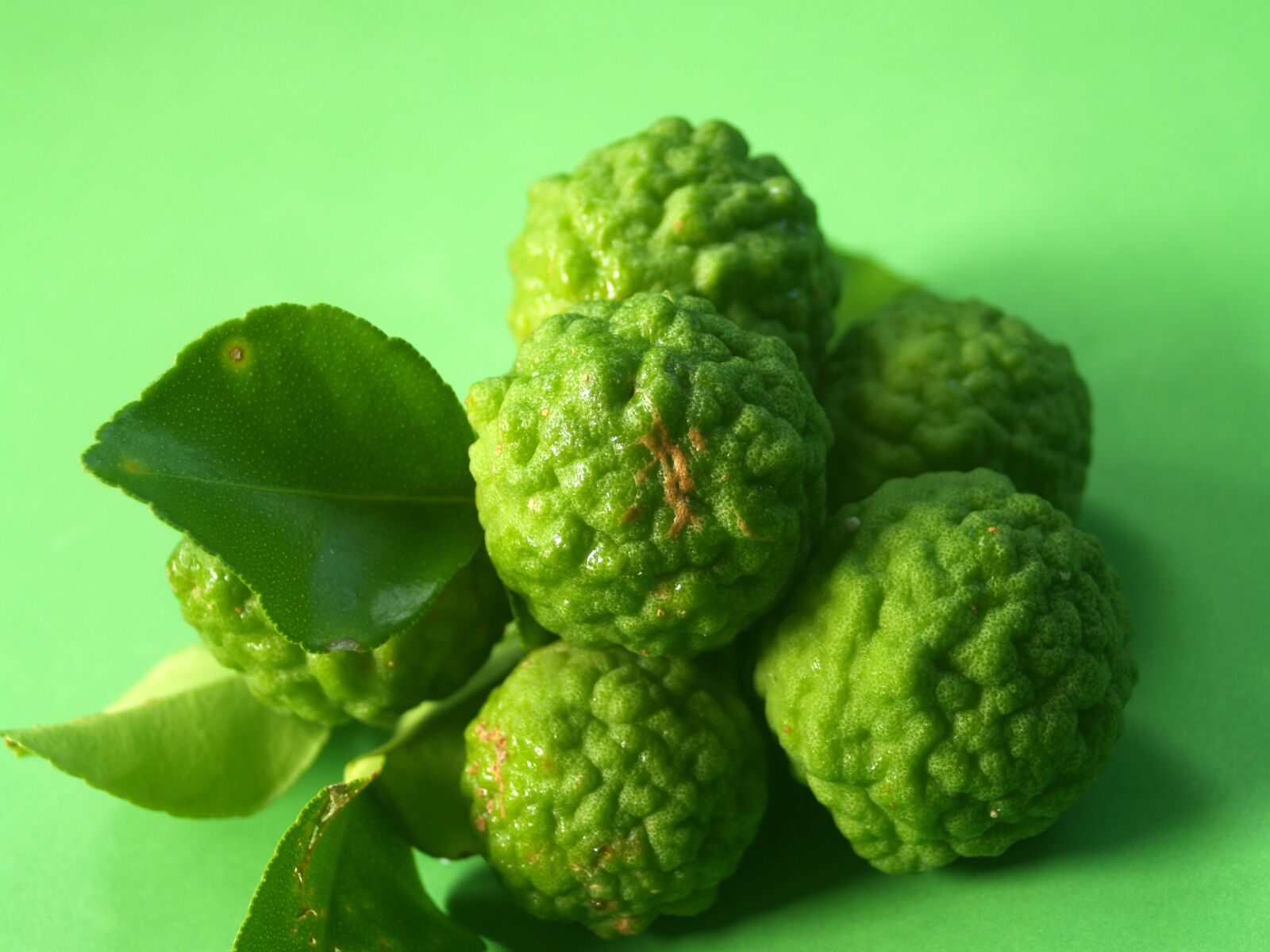 Olympus E-300 (EVOLT E-300) sample photo. Bergamot, fruit, leaf photography