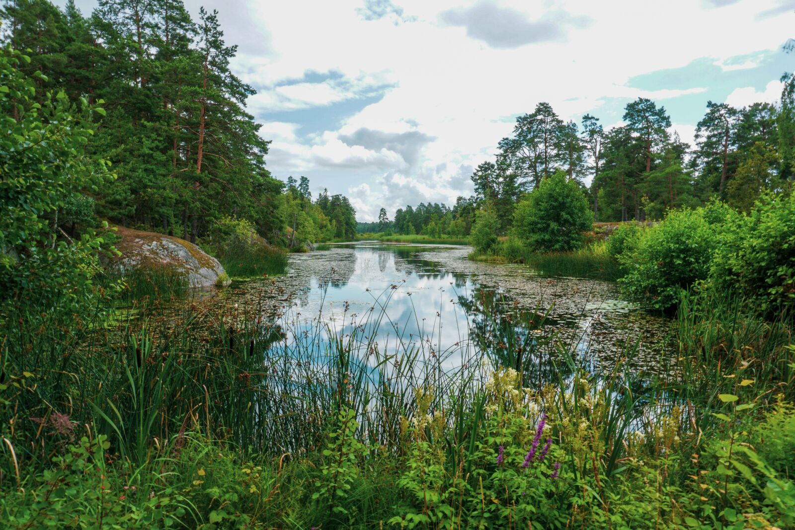 Sony a6300 sample photo. Nature, forest, lake photography