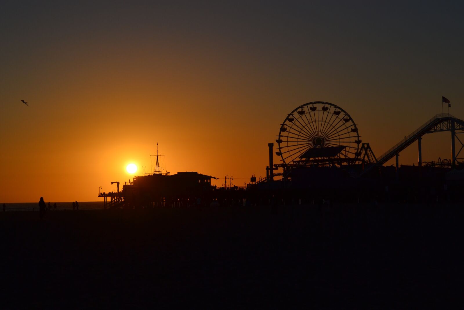Nikon D3100 sample photo. City of santa monica photography