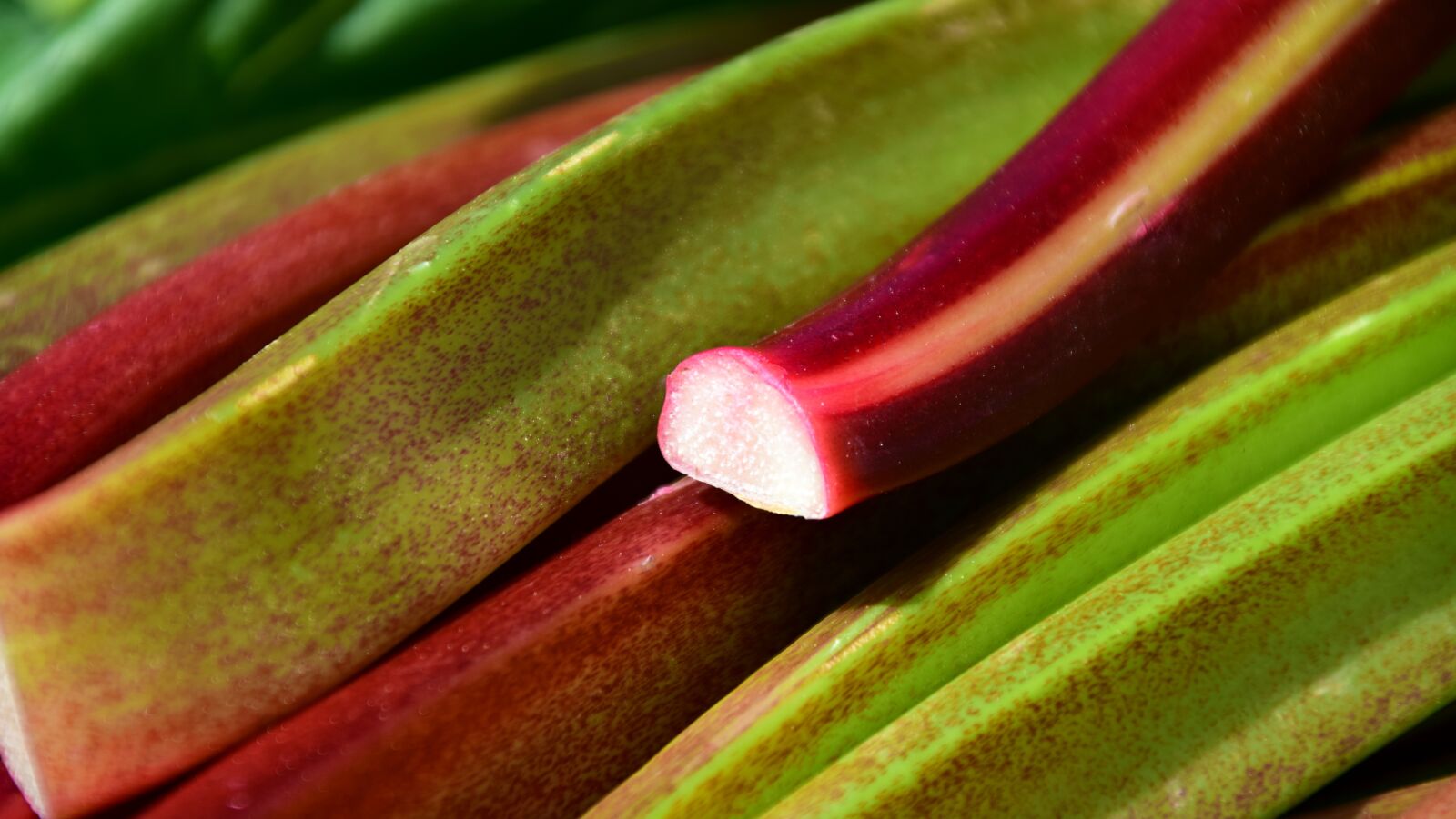 Nikon D3300 sample photo. Rhubarb, green, garden photography