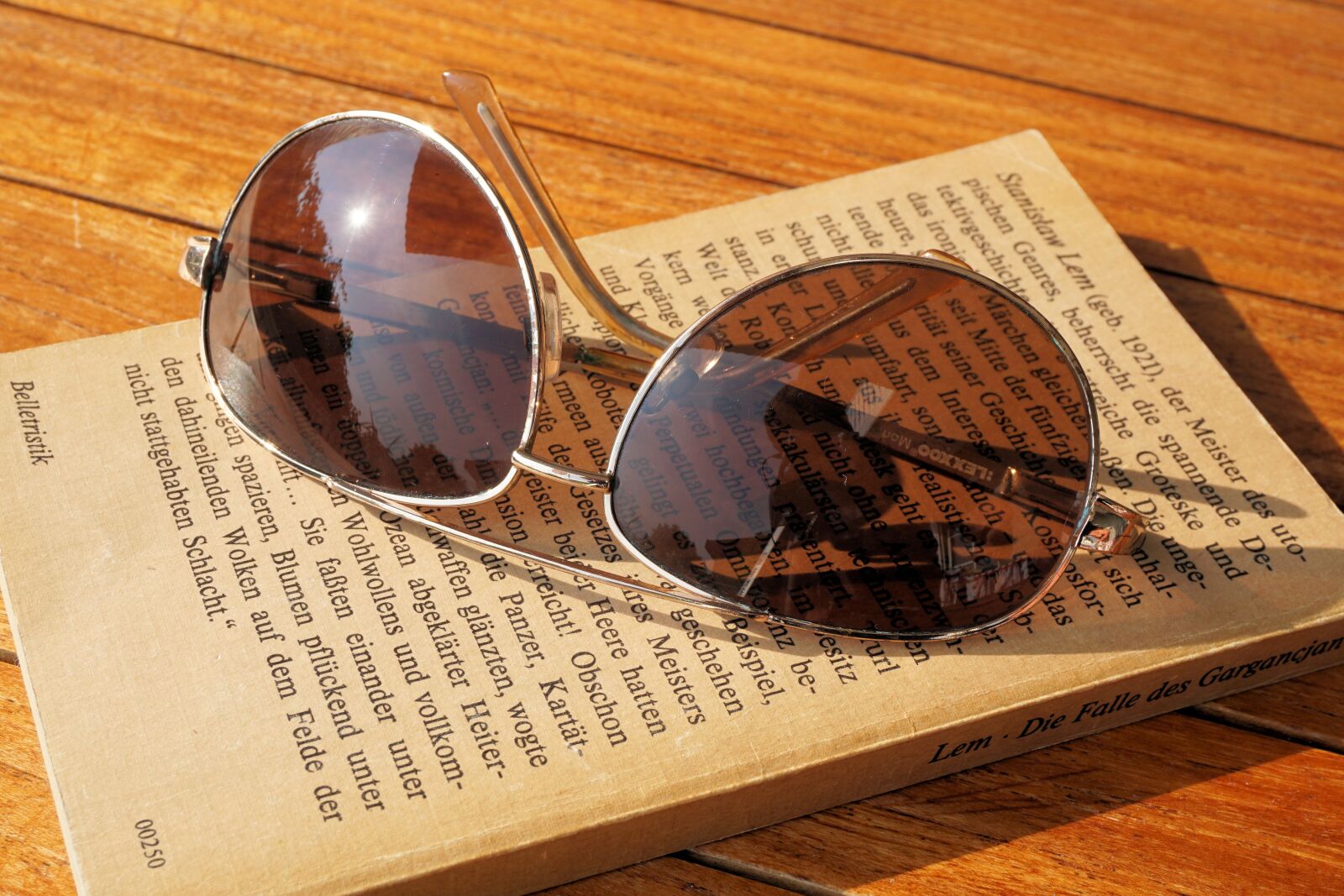Sony a6000 sample photo. Sunglasses, glasses, sun photography