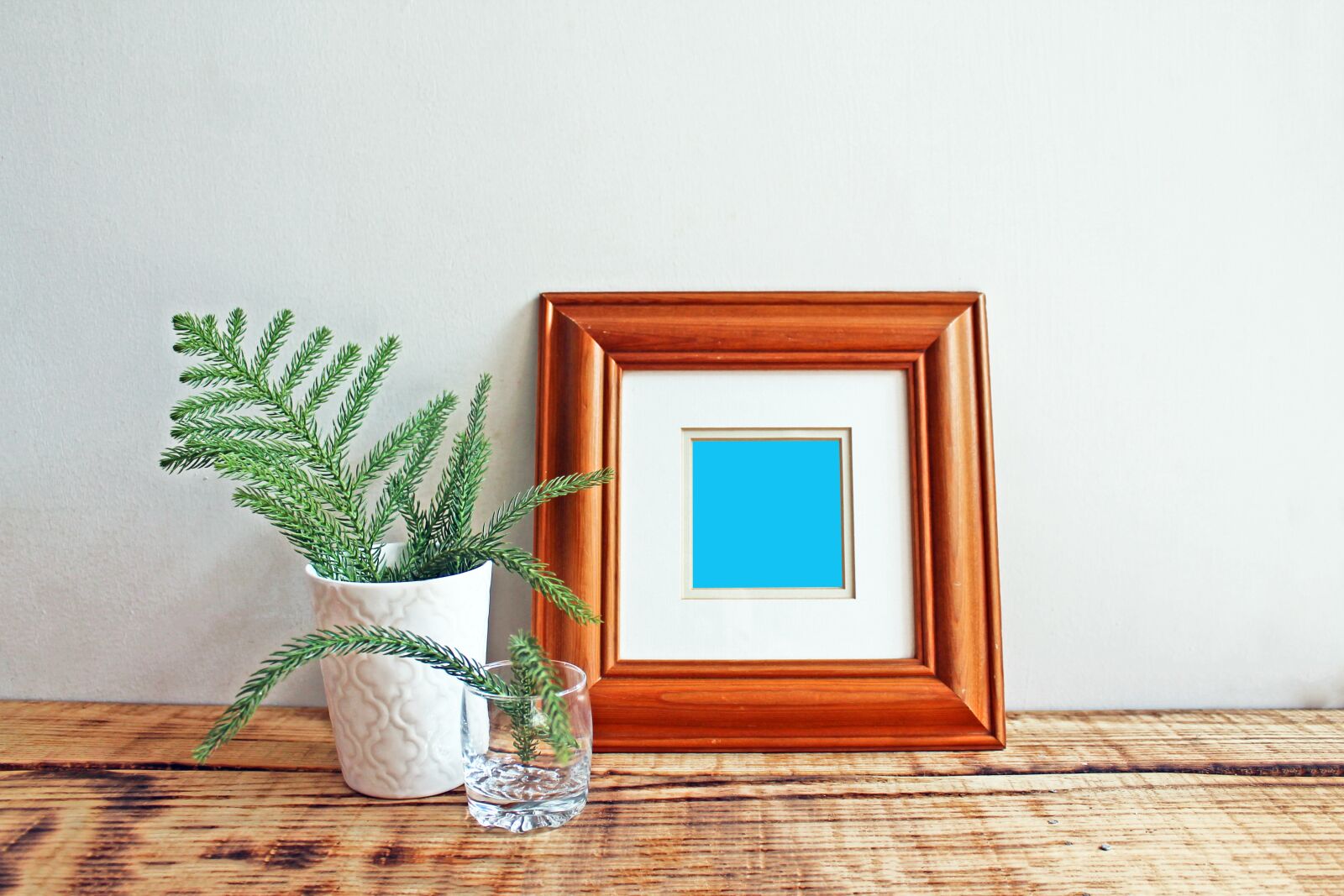 Canon EOS 1100D (EOS Rebel T3 / EOS Kiss X50) sample photo. Frame, mockup, photo photography