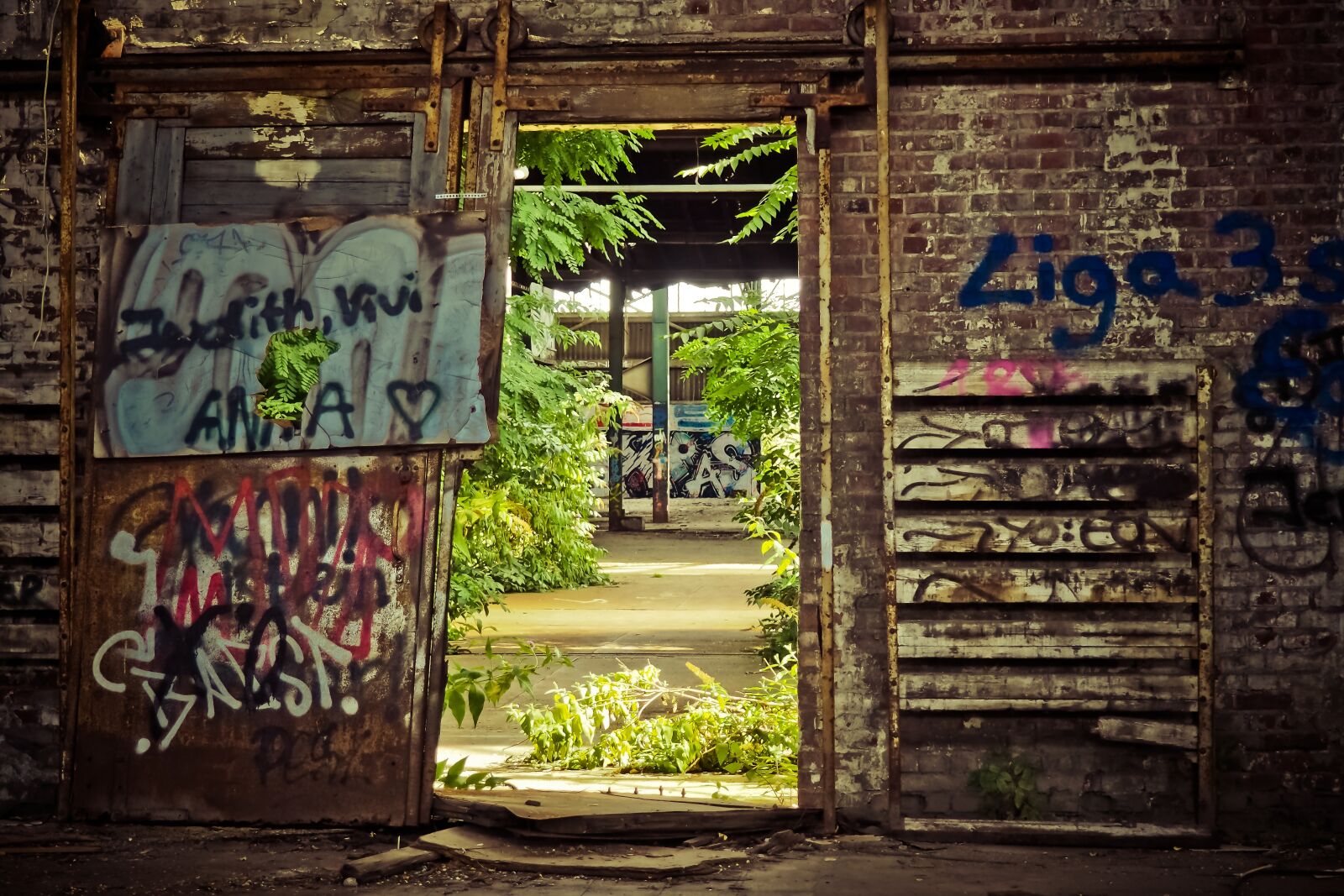 Olympus OM-D E-M10 sample photo. Lost places, old, decay photography