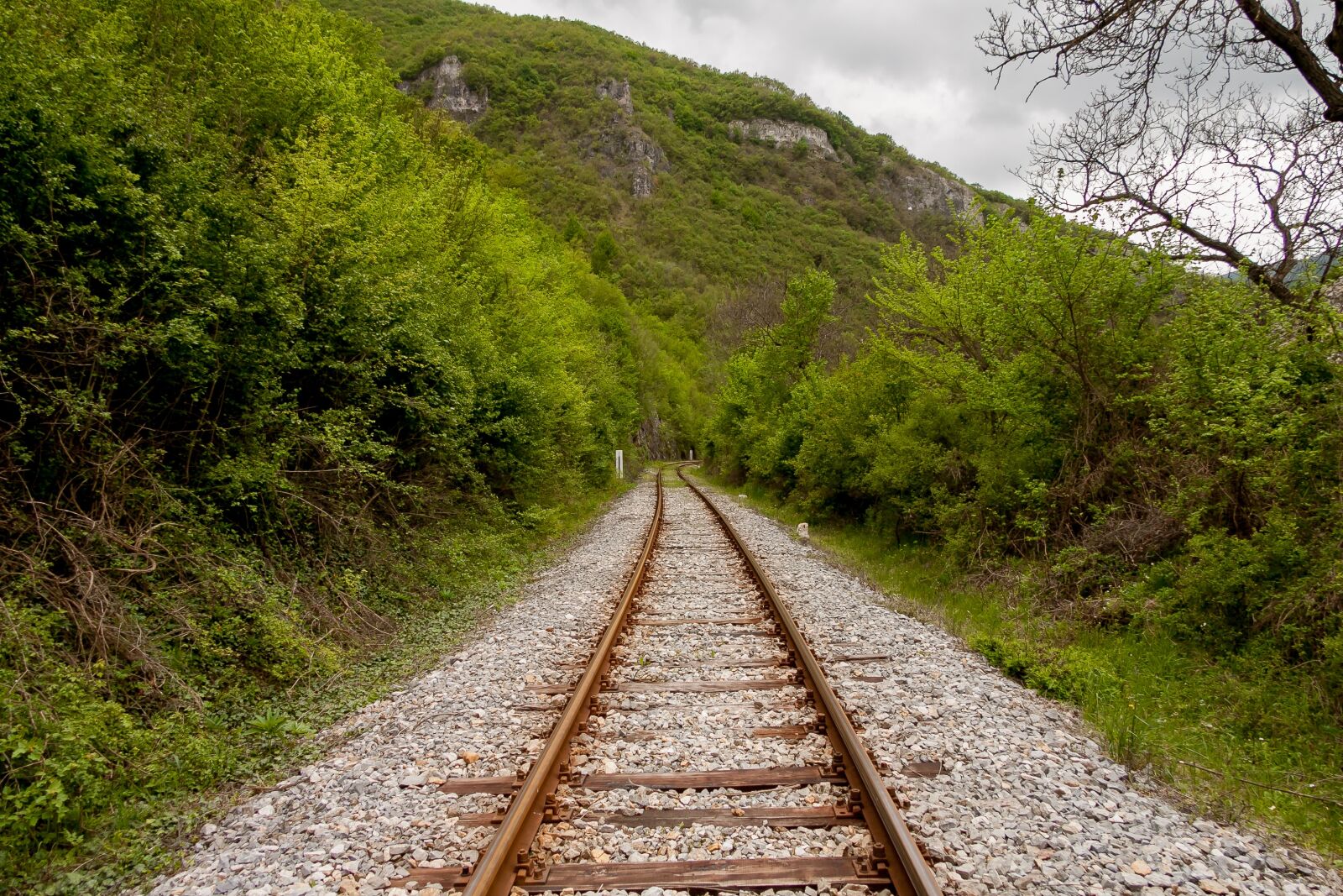 Canon EF-S 17-85mm F4-5.6 IS USM sample photo. Rail, railroad, travel photography