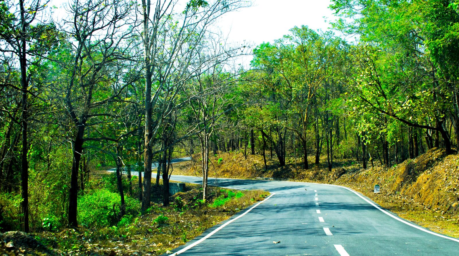 Nikon D3300 sample photo. Road, landscape, away photography