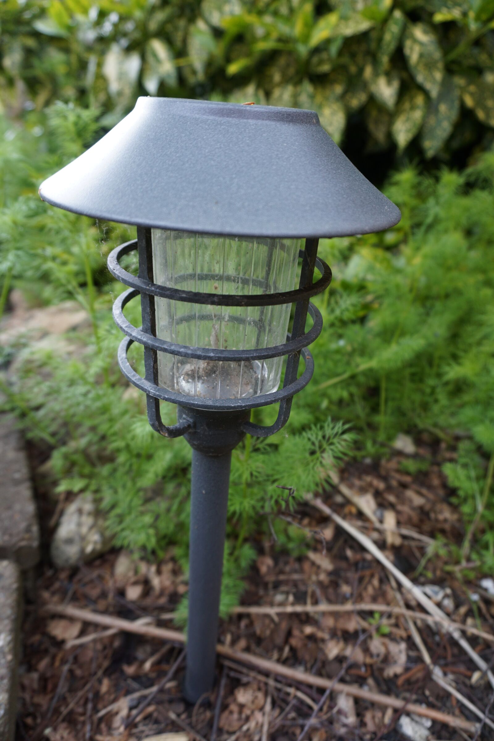Sony a6000 sample photo. Garden, day, torch photography