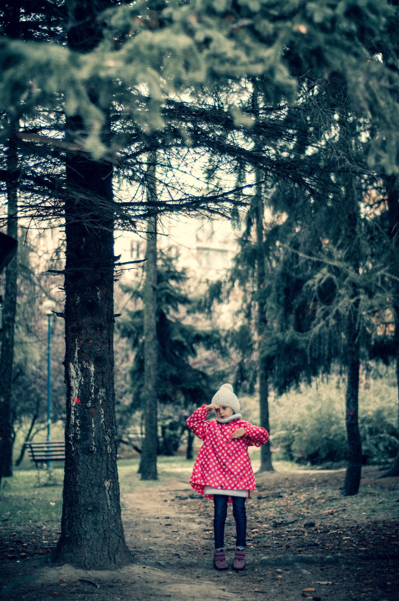 Nikon D300 sample photo. Forest, girl, trees photography