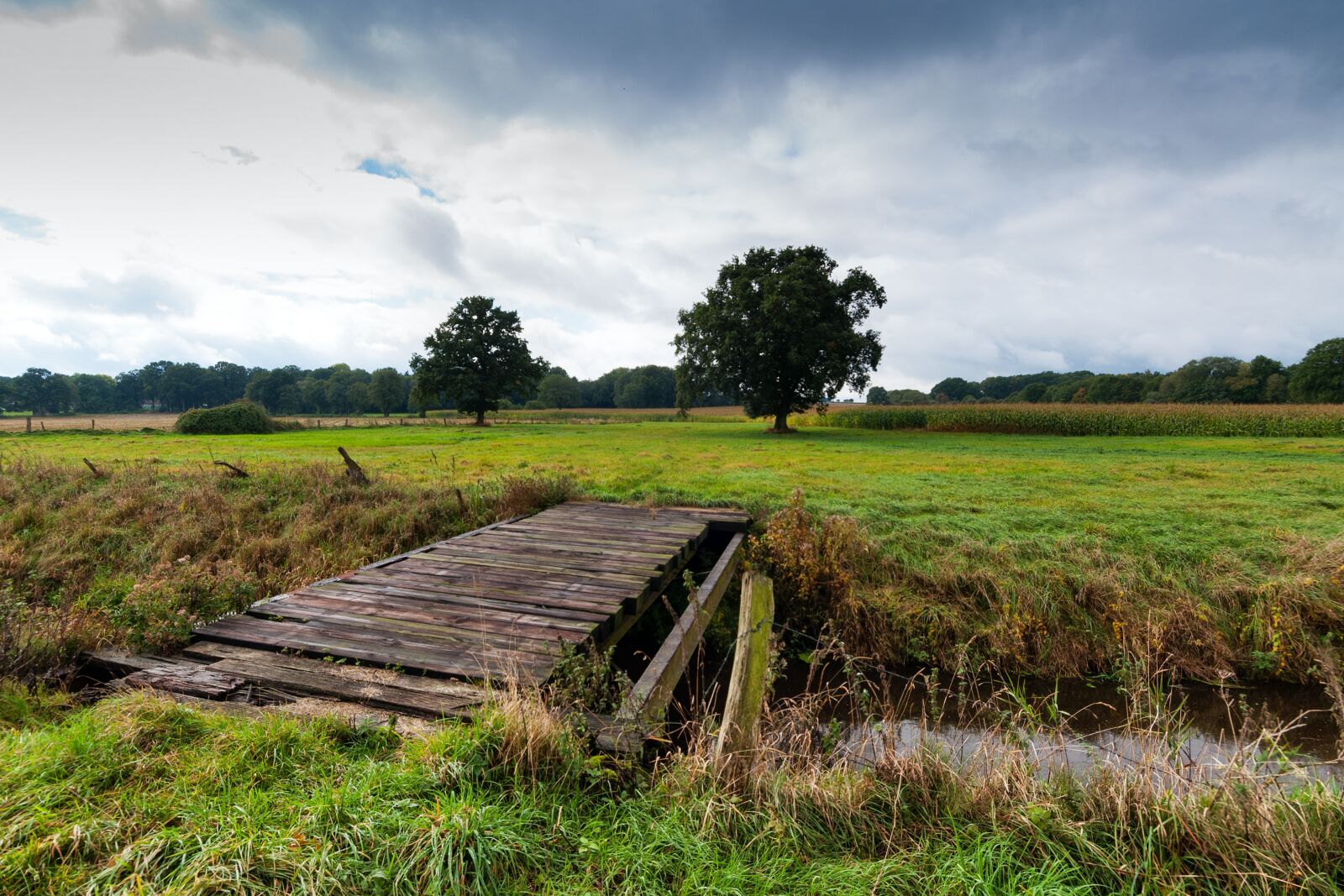 Nikon D90 sample photo. Lane, bridge, bach photography