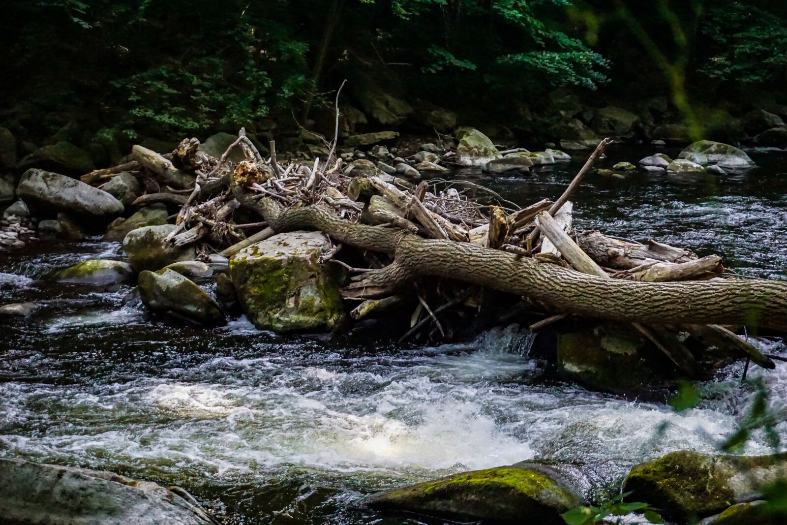 Sony a6000 sample photo. River, bach, water photography