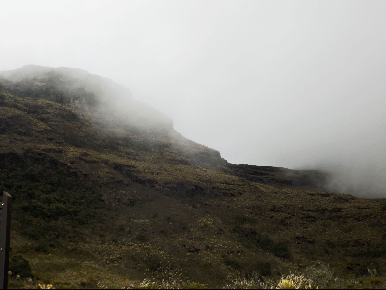 Fujifilm FinePix S4800 sample photo. Fog, mountain photography