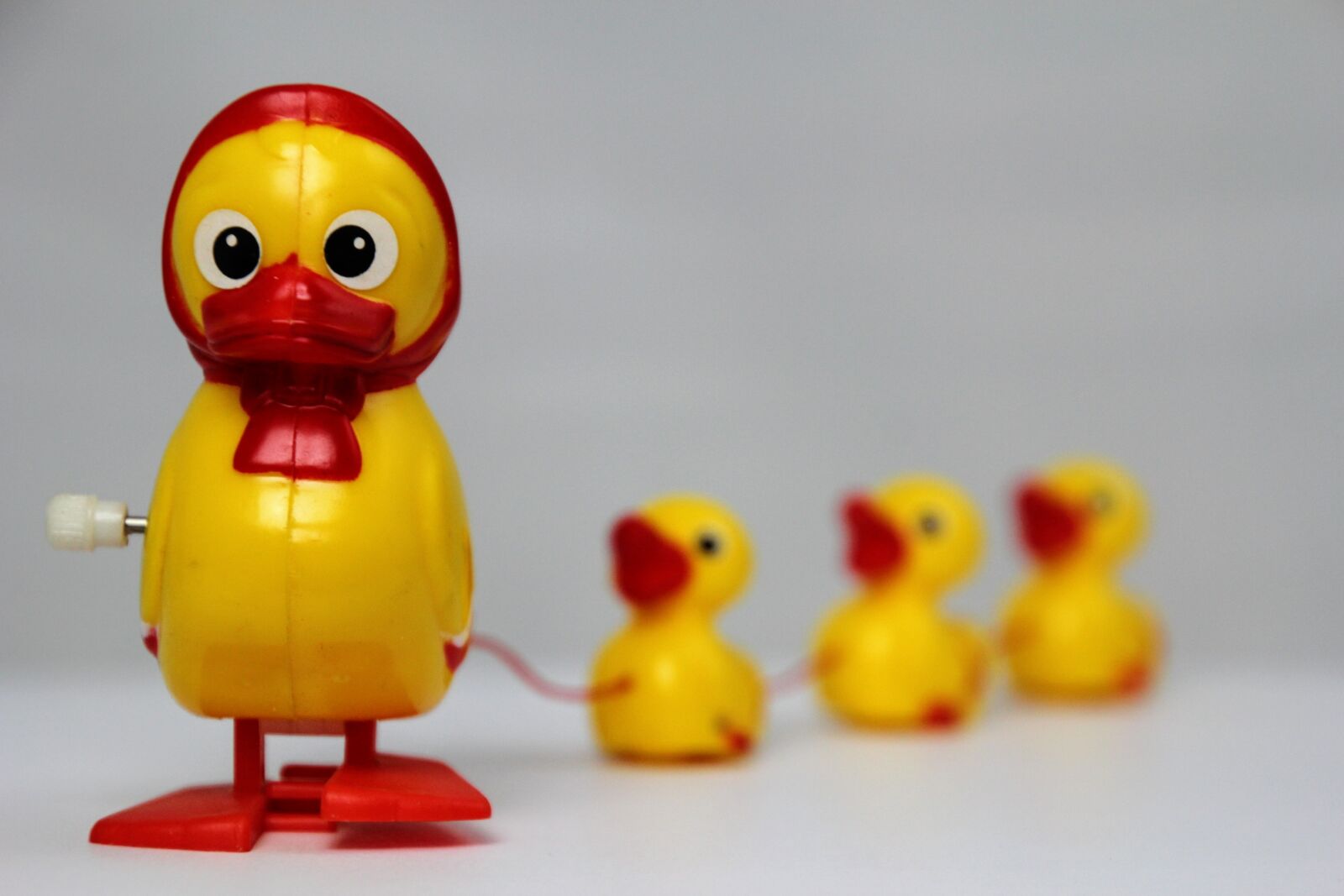Canon EOS 60D sample photo. Duck, toys, lucky duck photography