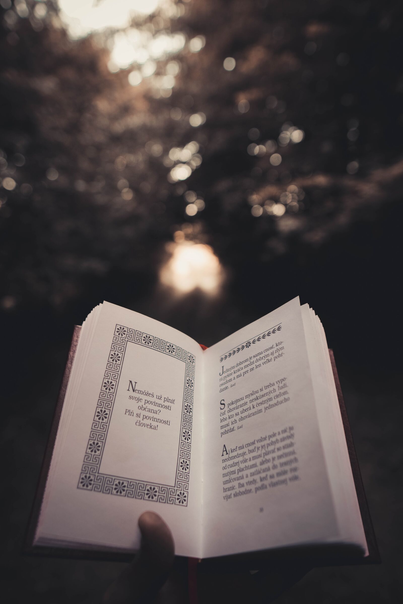 Sony a6400 + Sigma 16mm F1.4 DC DN | C sample photo. Stocizmus, philosophy, book photography