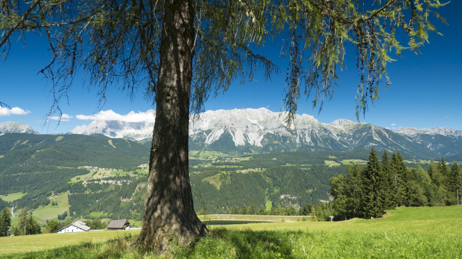 Panasonic DMC-FZ72 sample photo. Nature, dachstein, austria photography