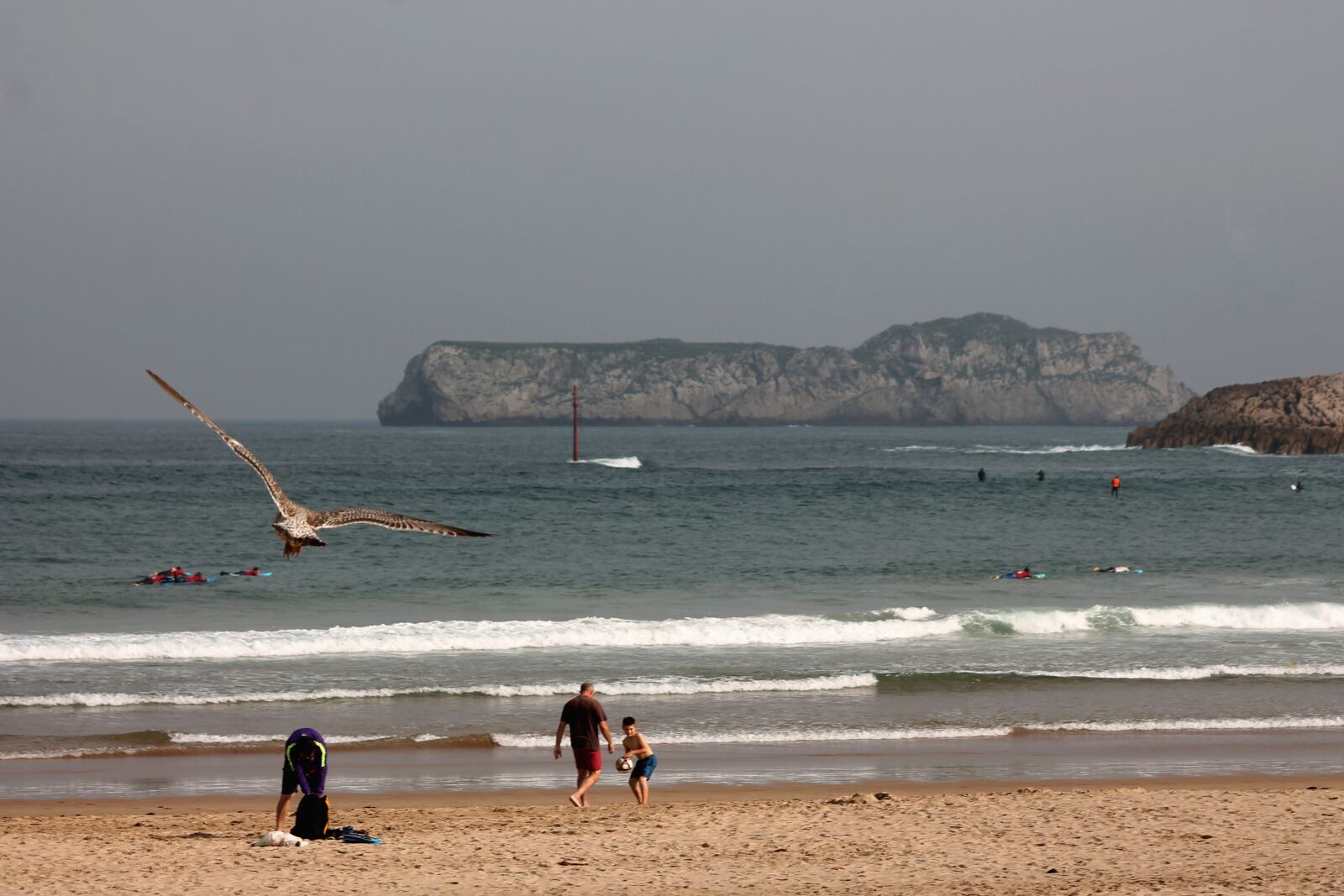 Canon EOS 1100D (EOS Rebel T3 / EOS Kiss X50) sample photo. Beach, summer, seagull photography