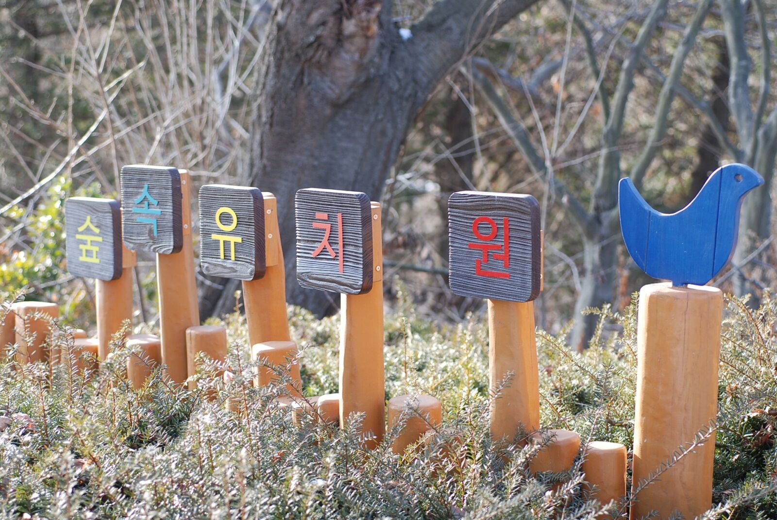 Nikon D80 sample photo. Sky forest kindergarten, yeongjongdo photography