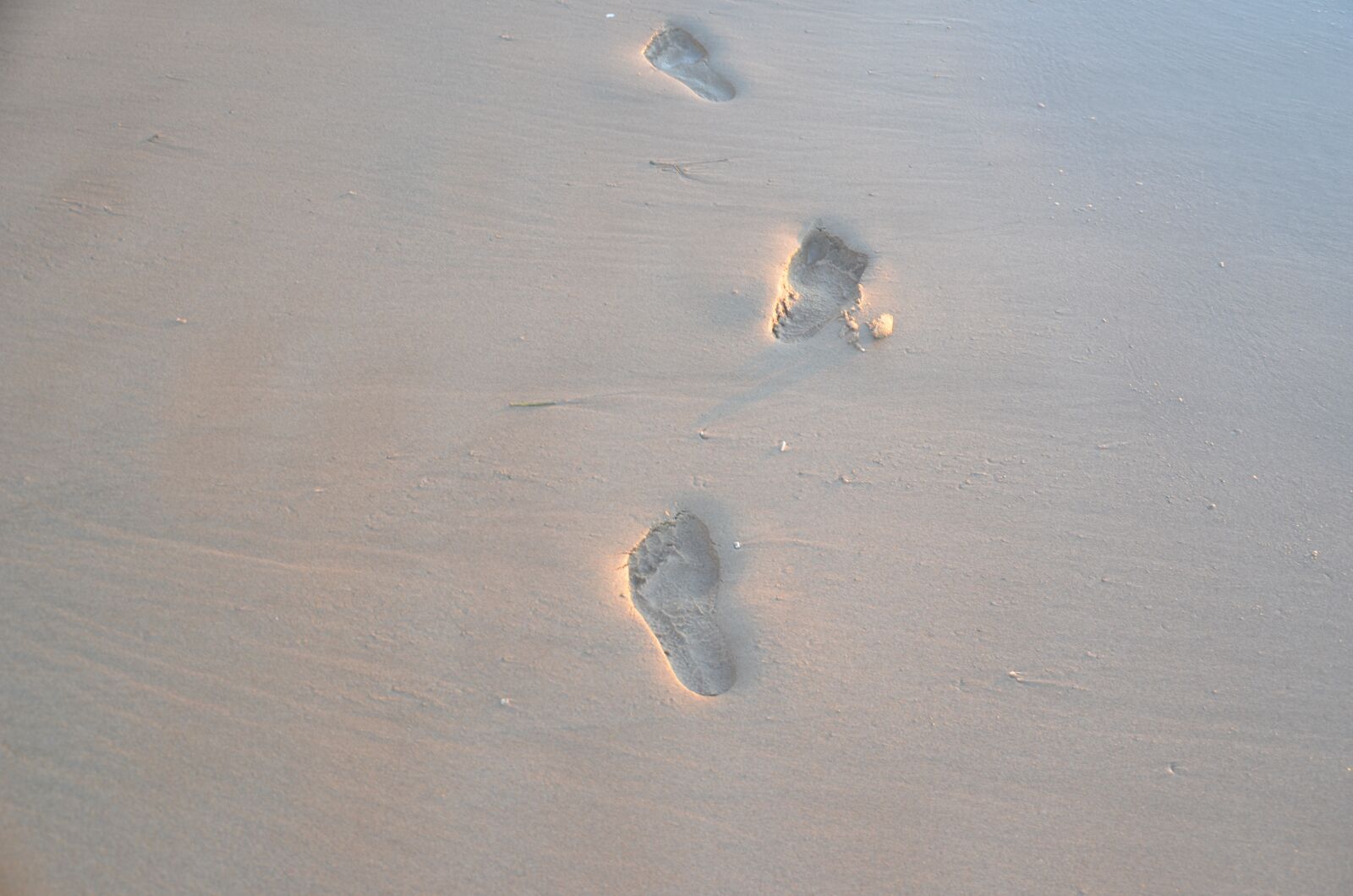Nikon D5100 sample photo. Beach, sand, footprints photography