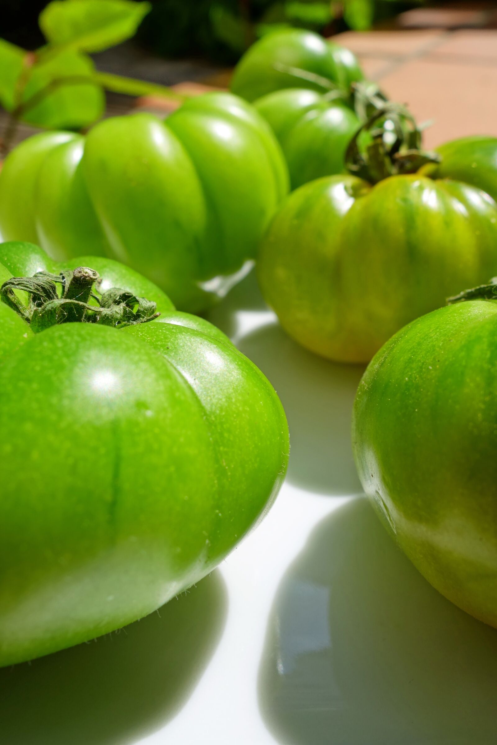 Sony Cyber-shot DSC-RX100 II sample photo. Fried green tomatoes, tomatoes photography