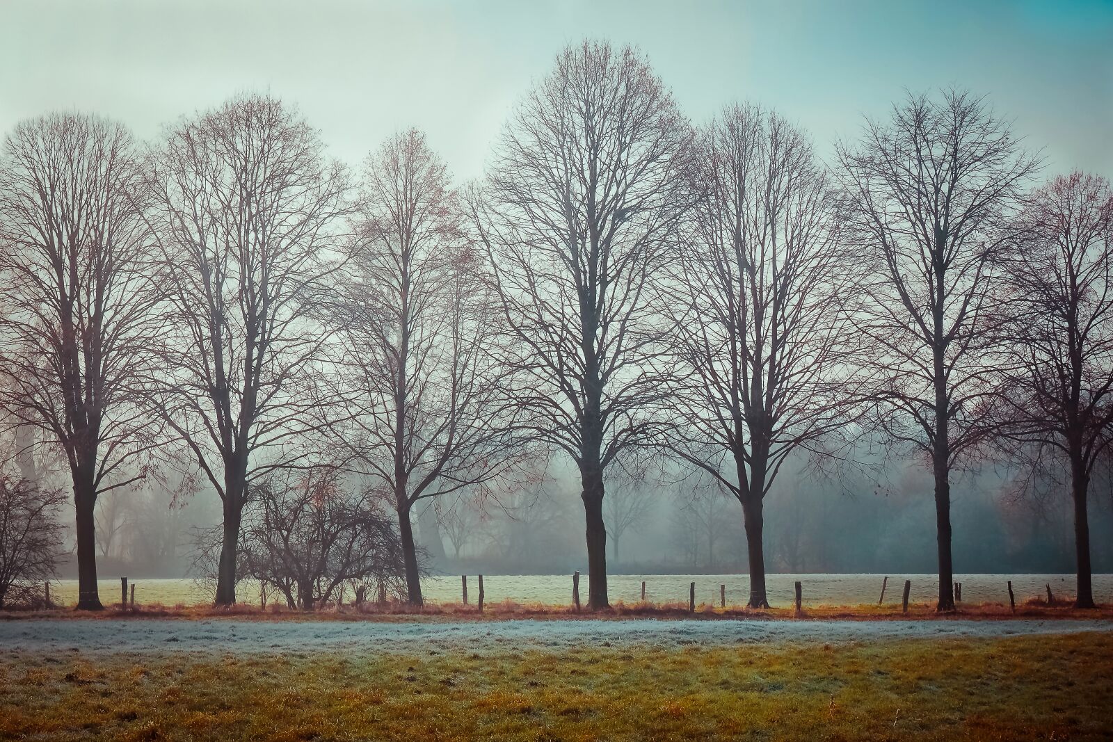 Olympus OM-D E-M10 sample photo. Landscape, fog, nature photography