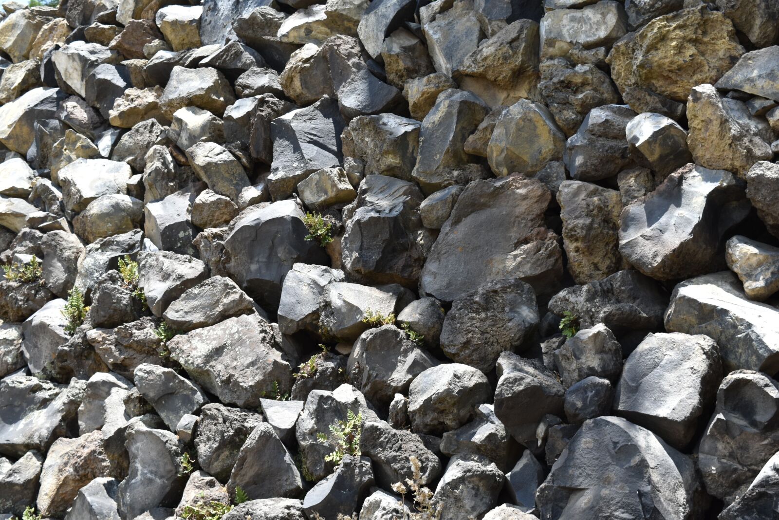Nikon D5500 sample photo. Stones, texture, rock photography