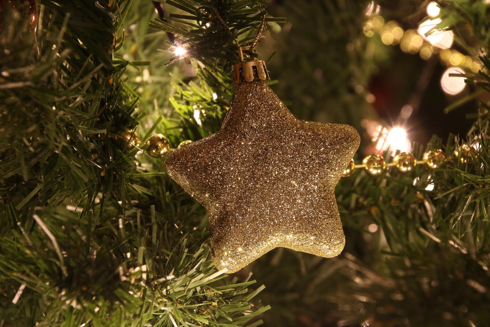 Canon EOS 750D (EOS Rebel T6i / EOS Kiss X8i) sample photo. Christmas, deco, decoration photography