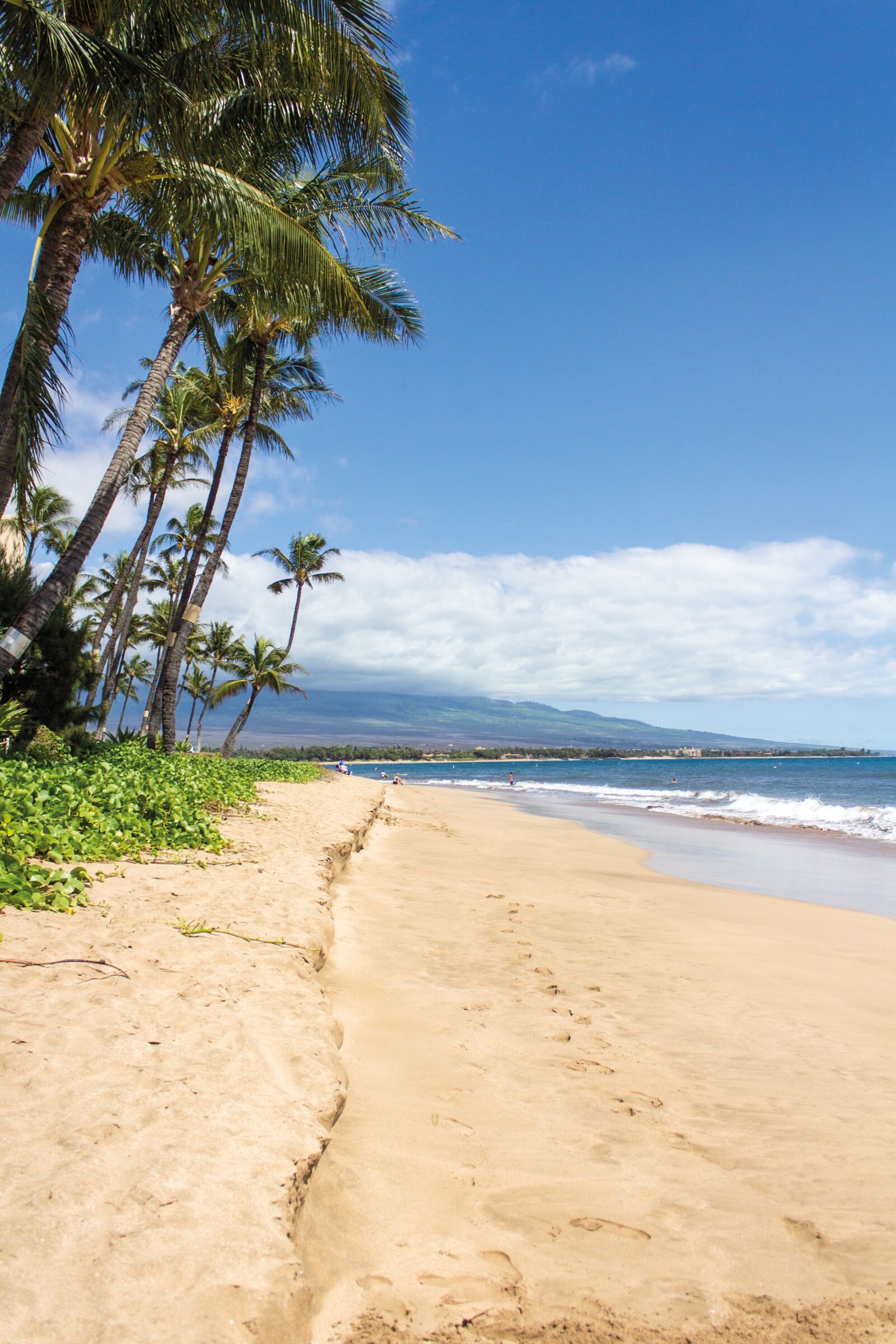 Canon EOS 600D (Rebel EOS T3i / EOS Kiss X5) sample photo. Beach, palms, hawaii photography