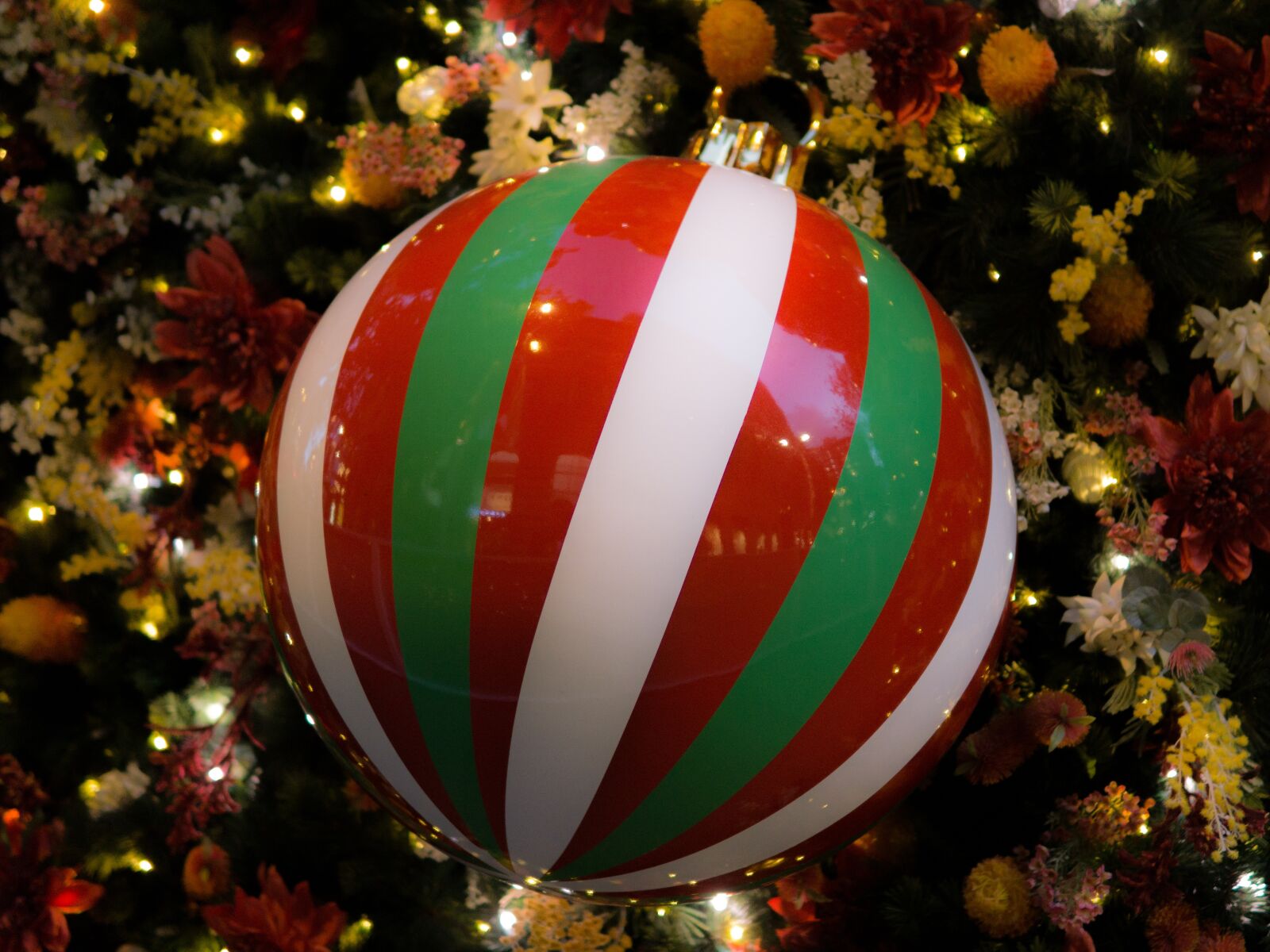 Sony a6000 sample photo. Decoration, christmas, celebration photography