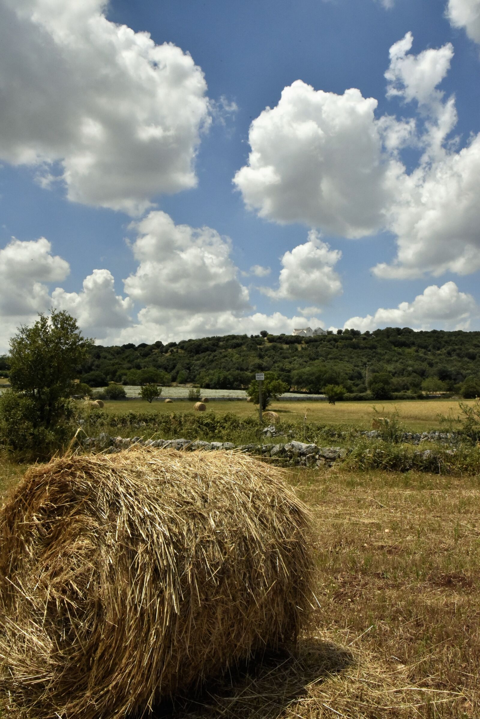 Nikon D750 sample photo. The countryside of puglia photography