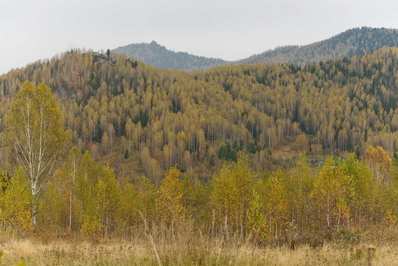Minolta AF 28-70mm F2.8 G sample photo. Autumn, mountains, landscape photography